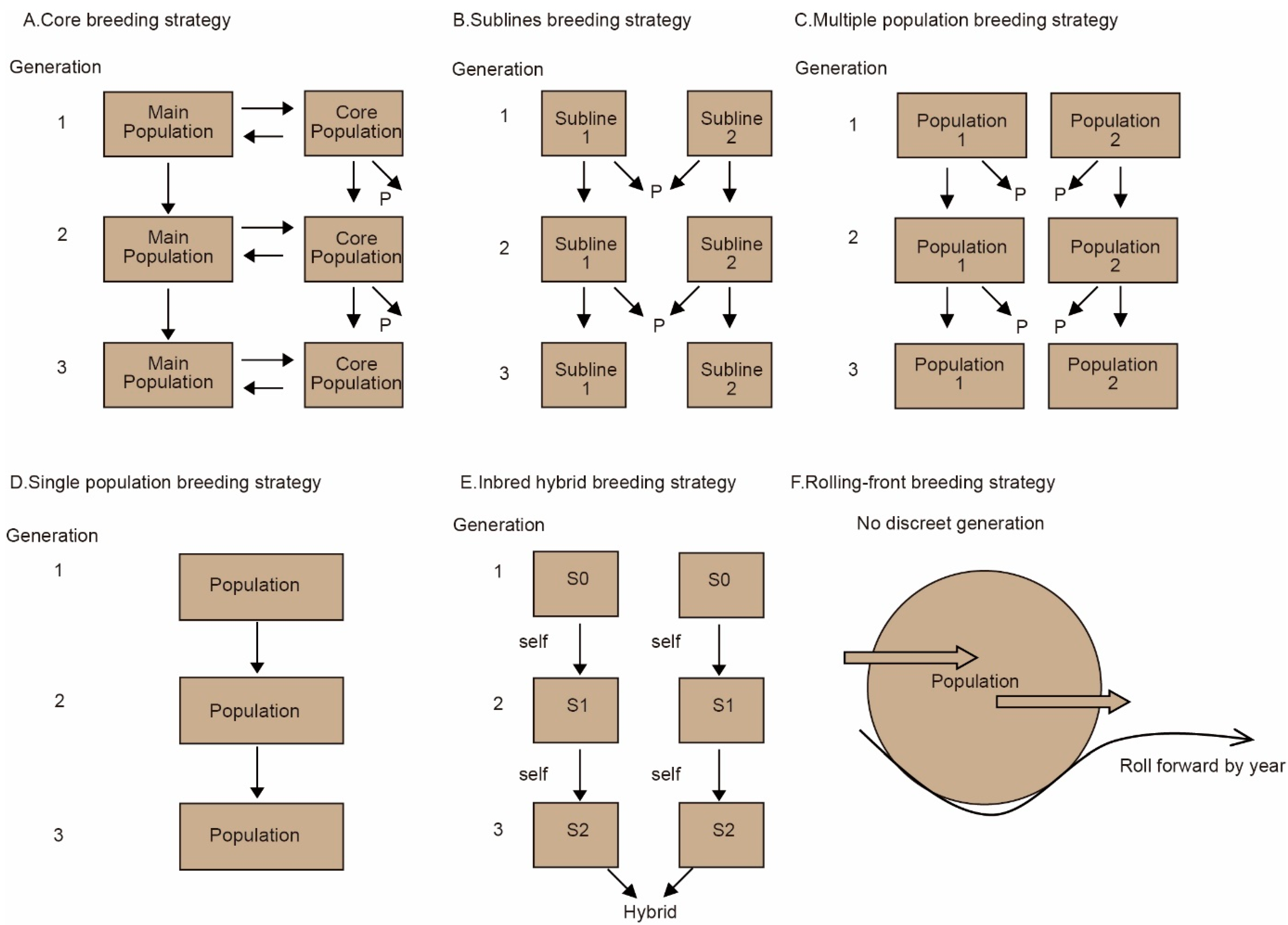 Forests 14 01658 g002