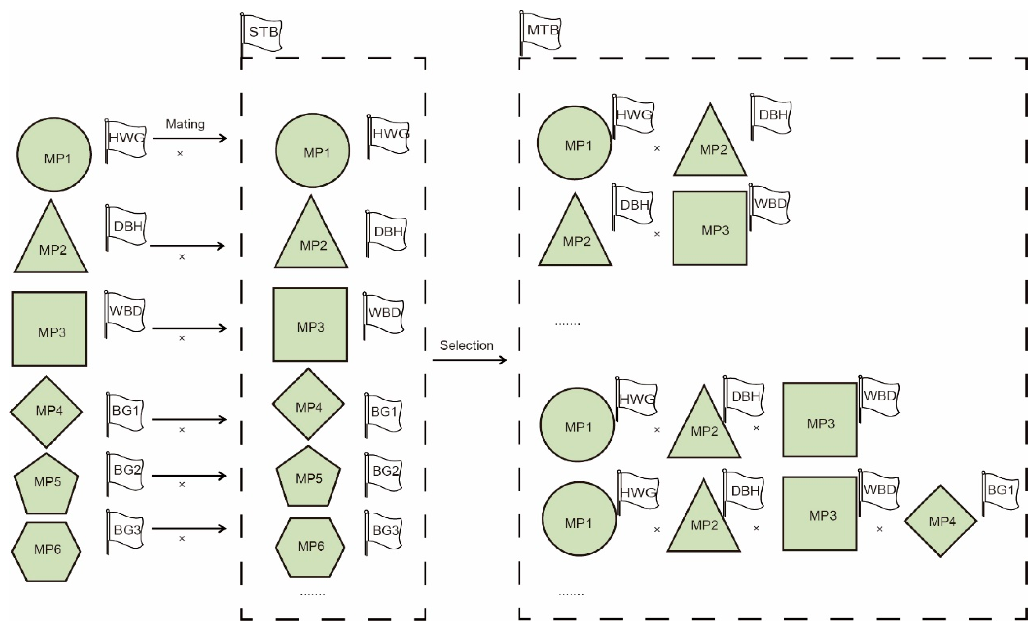 Forests 14 01658 g006