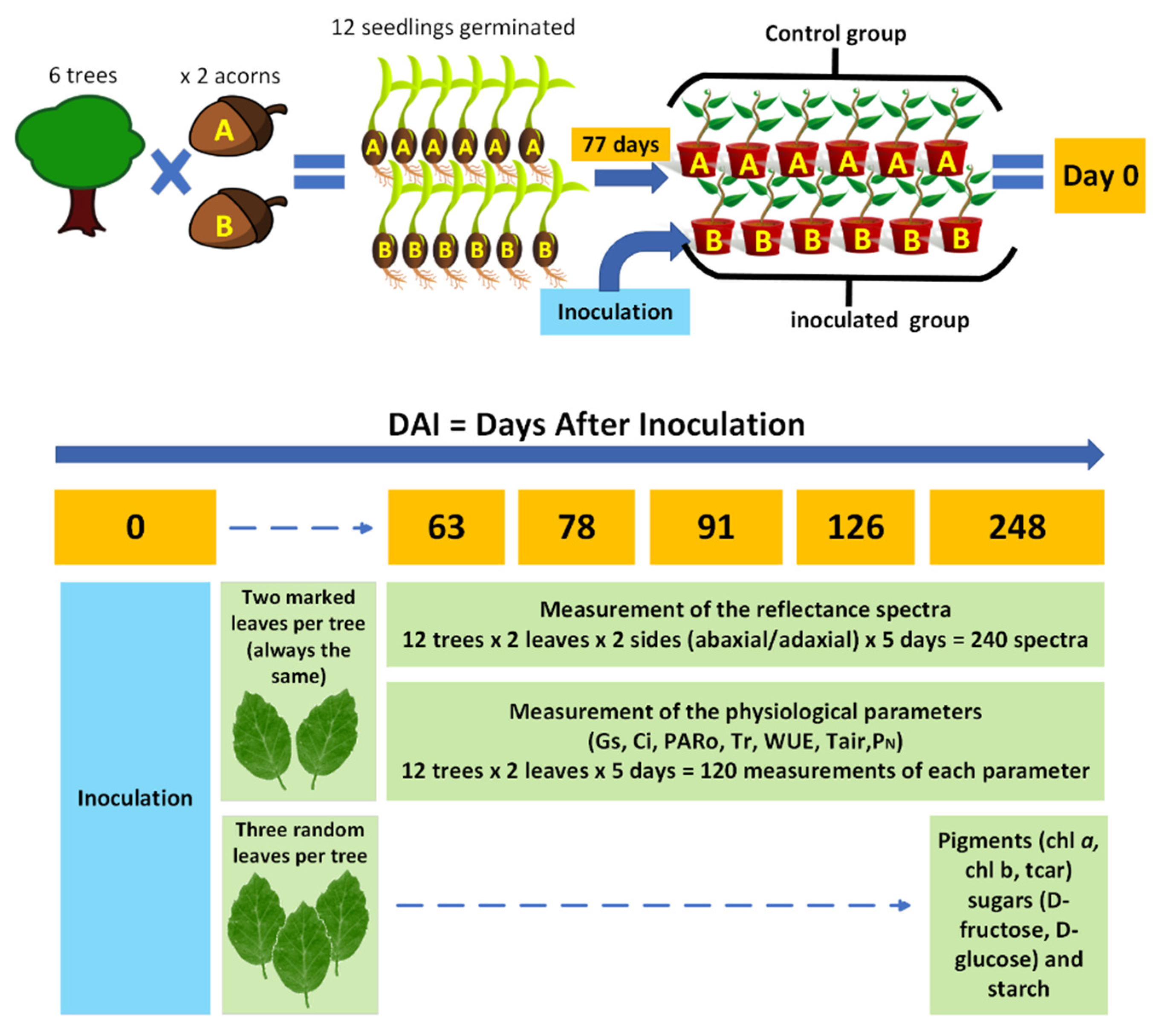Forests 14 01663 g001