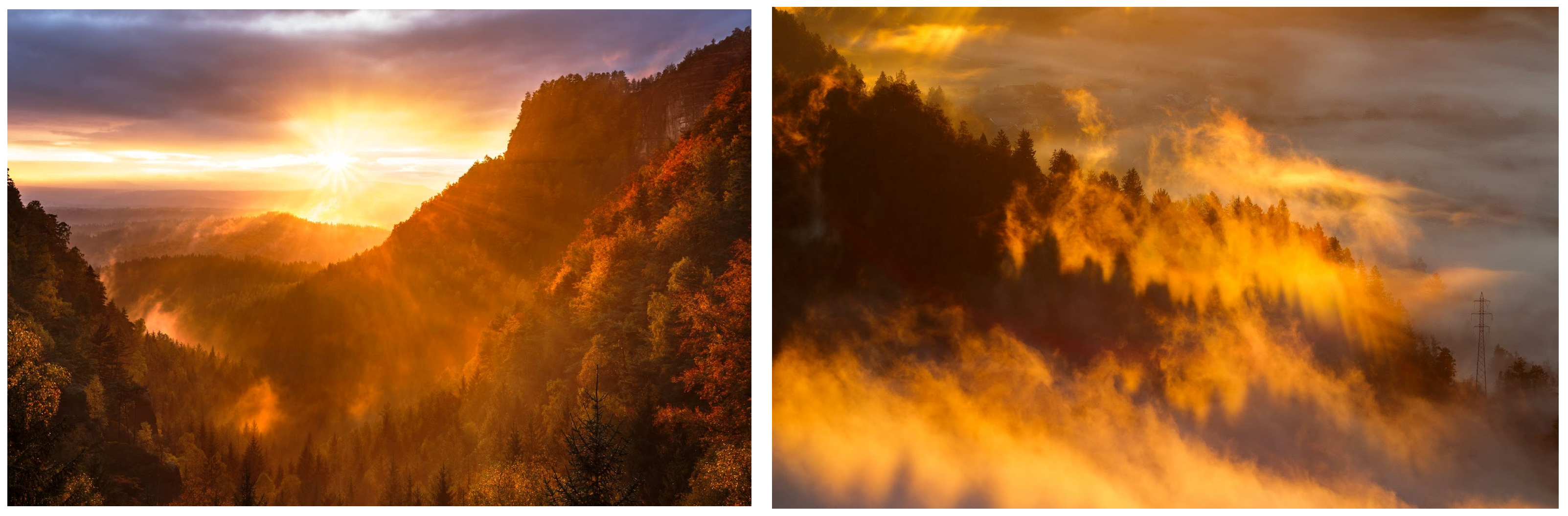 Forests 14 01697 g001