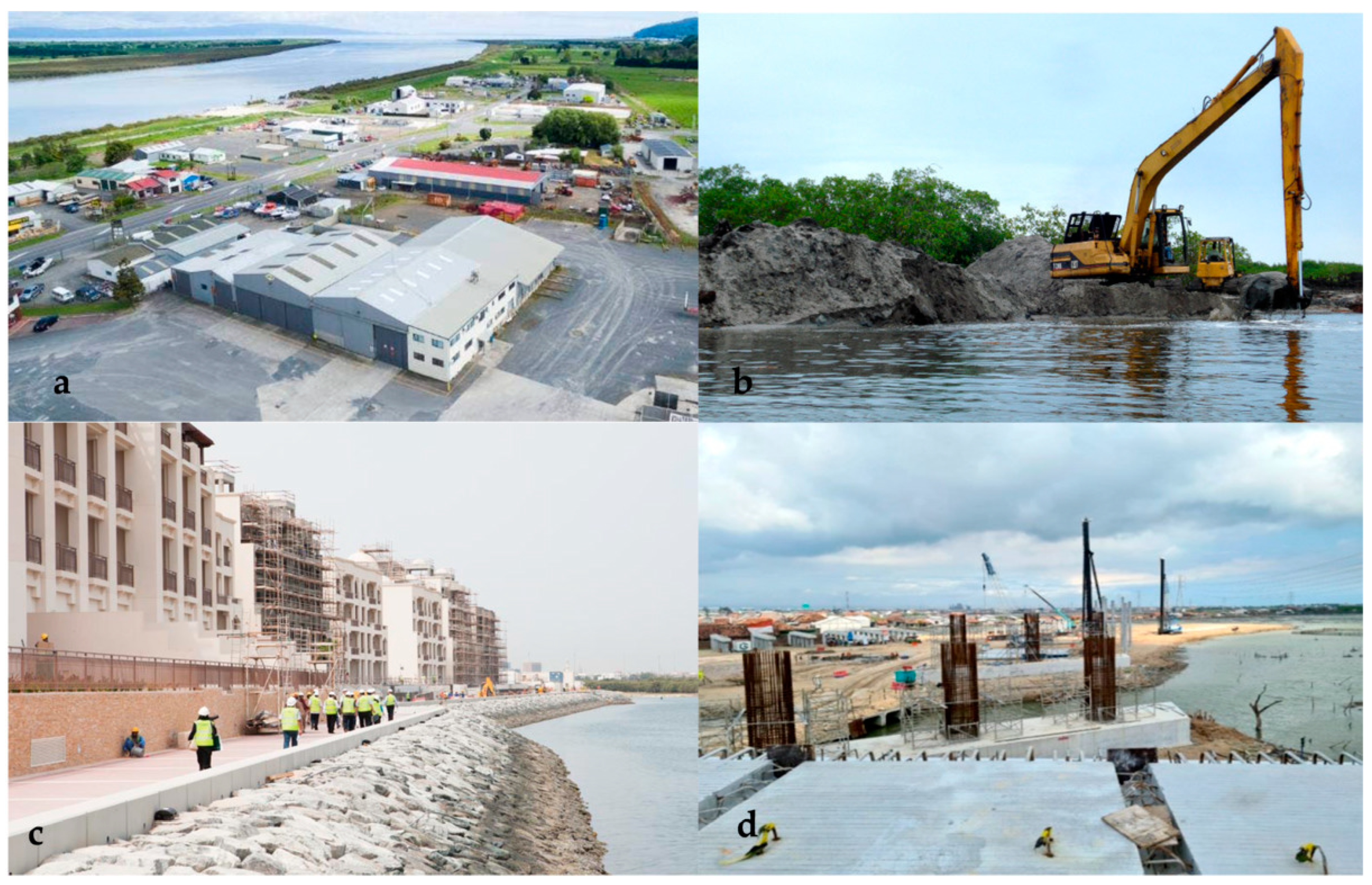 Forests 14 01698 g006