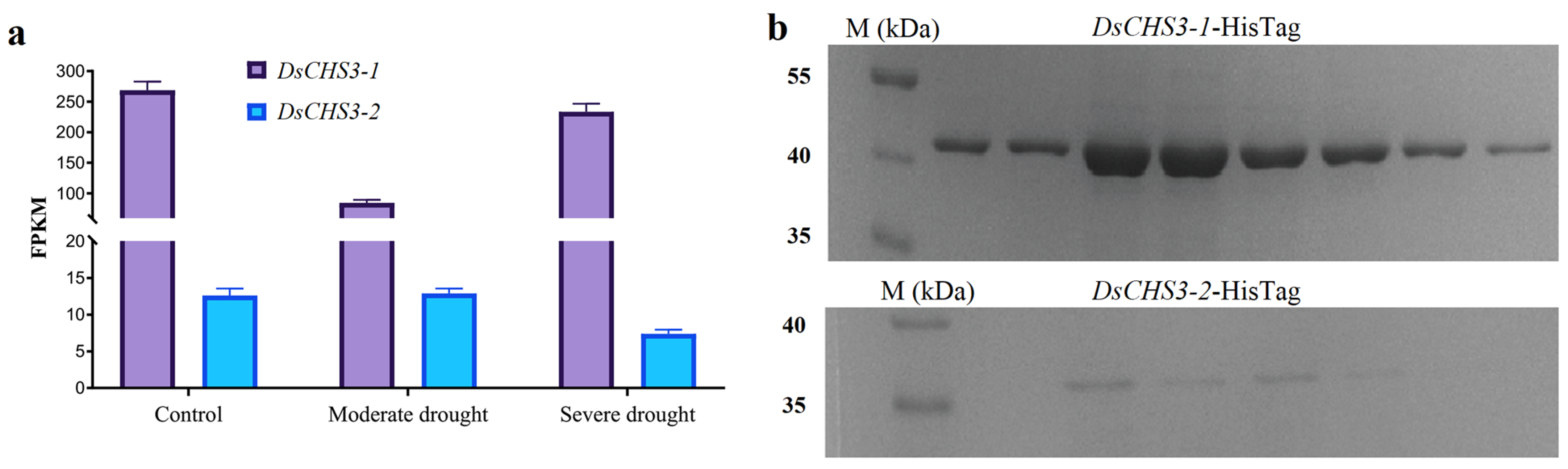 Forests 14 01702 g004