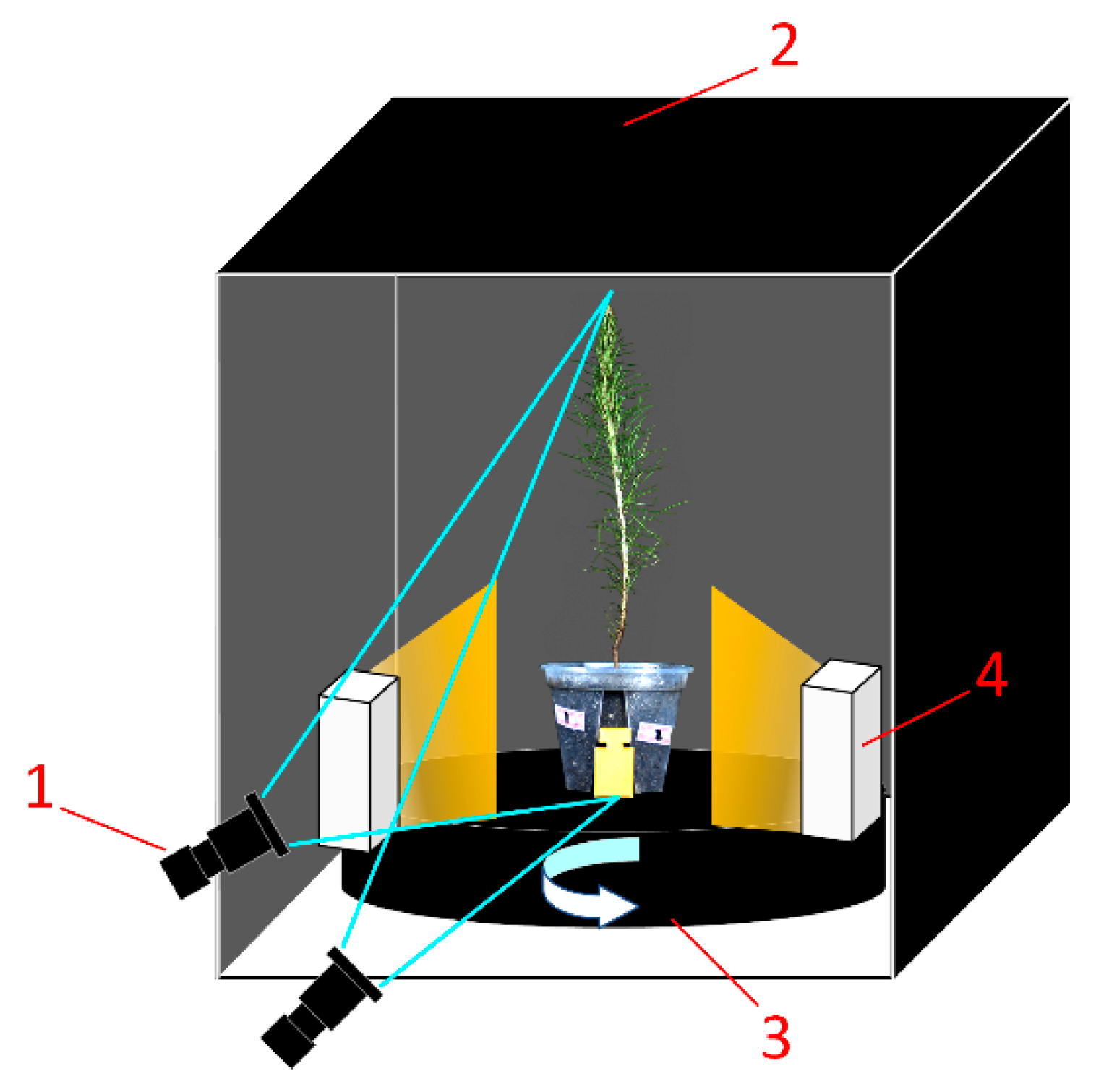 Forests 14 01726 g003