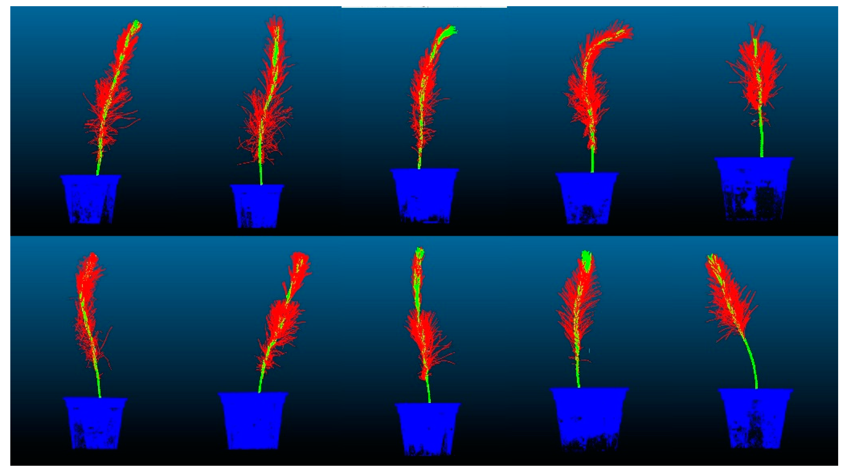 Forests 14 01726 g007