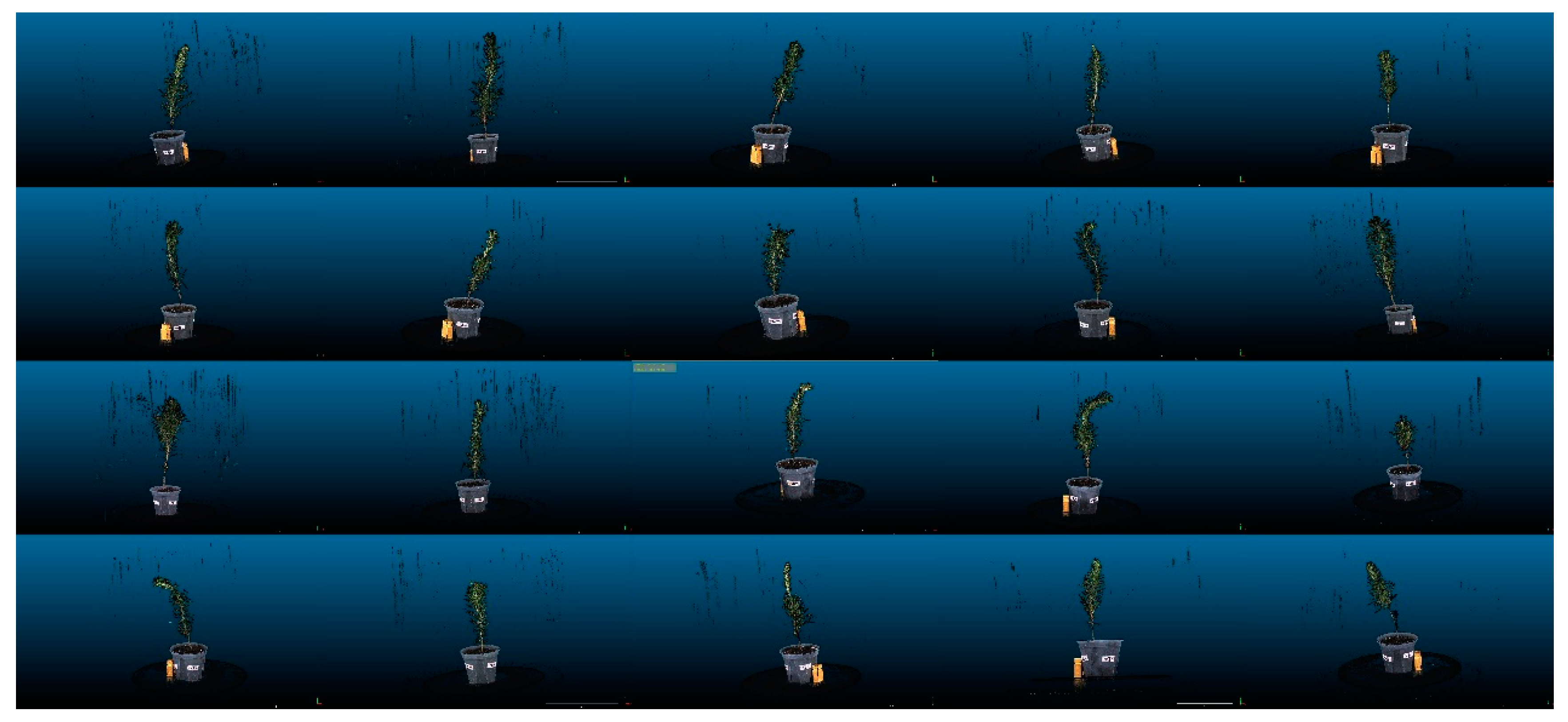 Forests 14 01726 g011