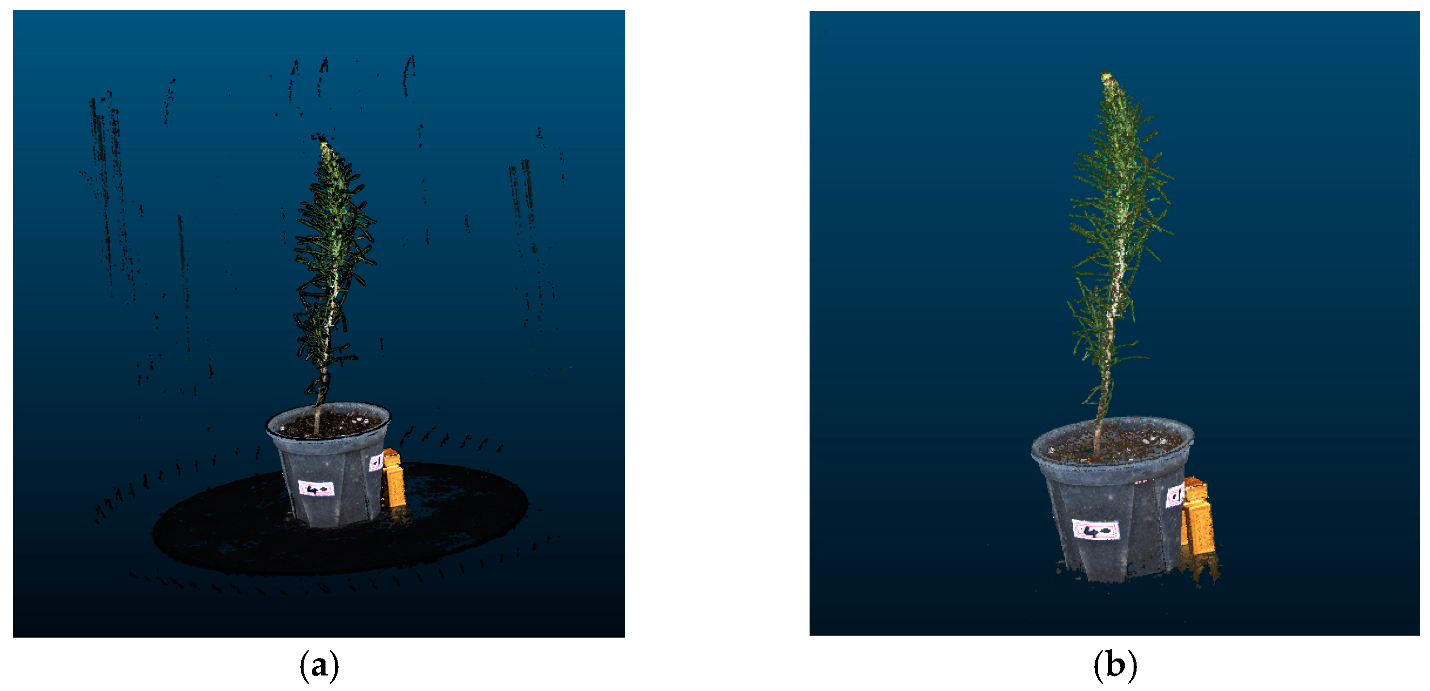 Forests 14 01726 g012