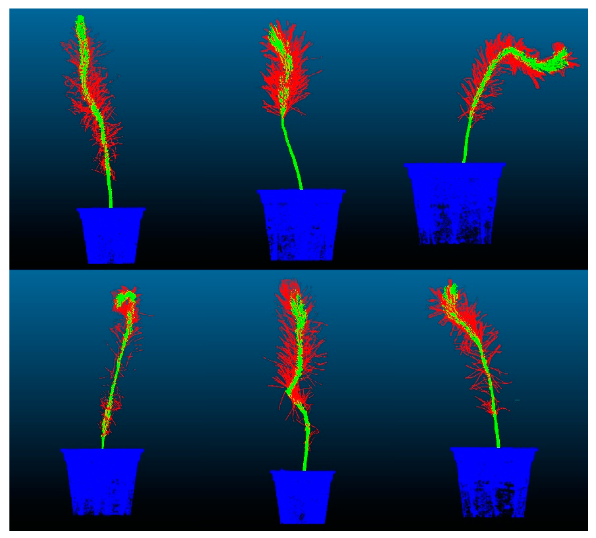 Forests 14 01726 g016