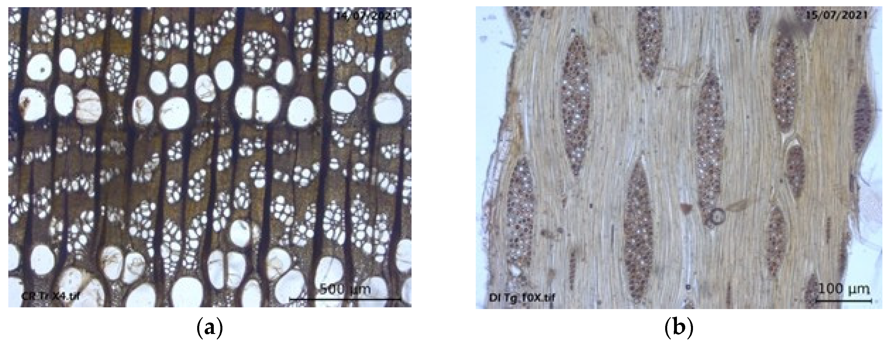 Forests 14 01733 g006