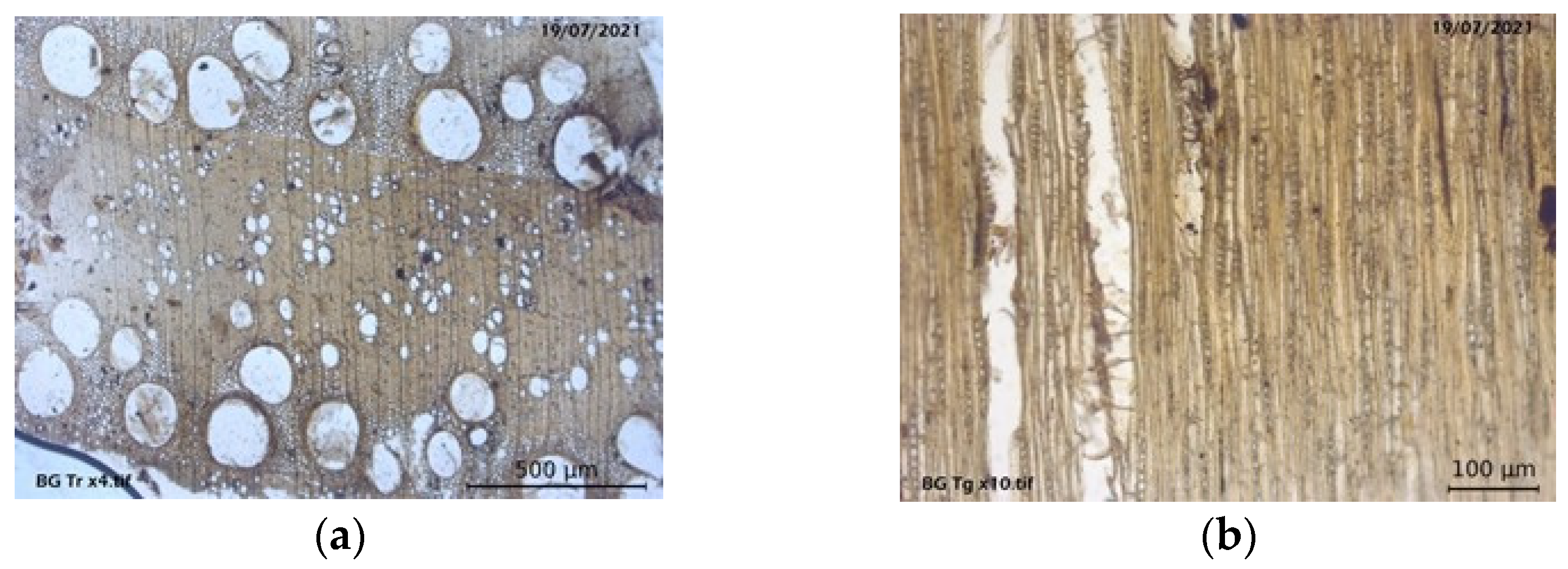 Forests 14 01733 g007