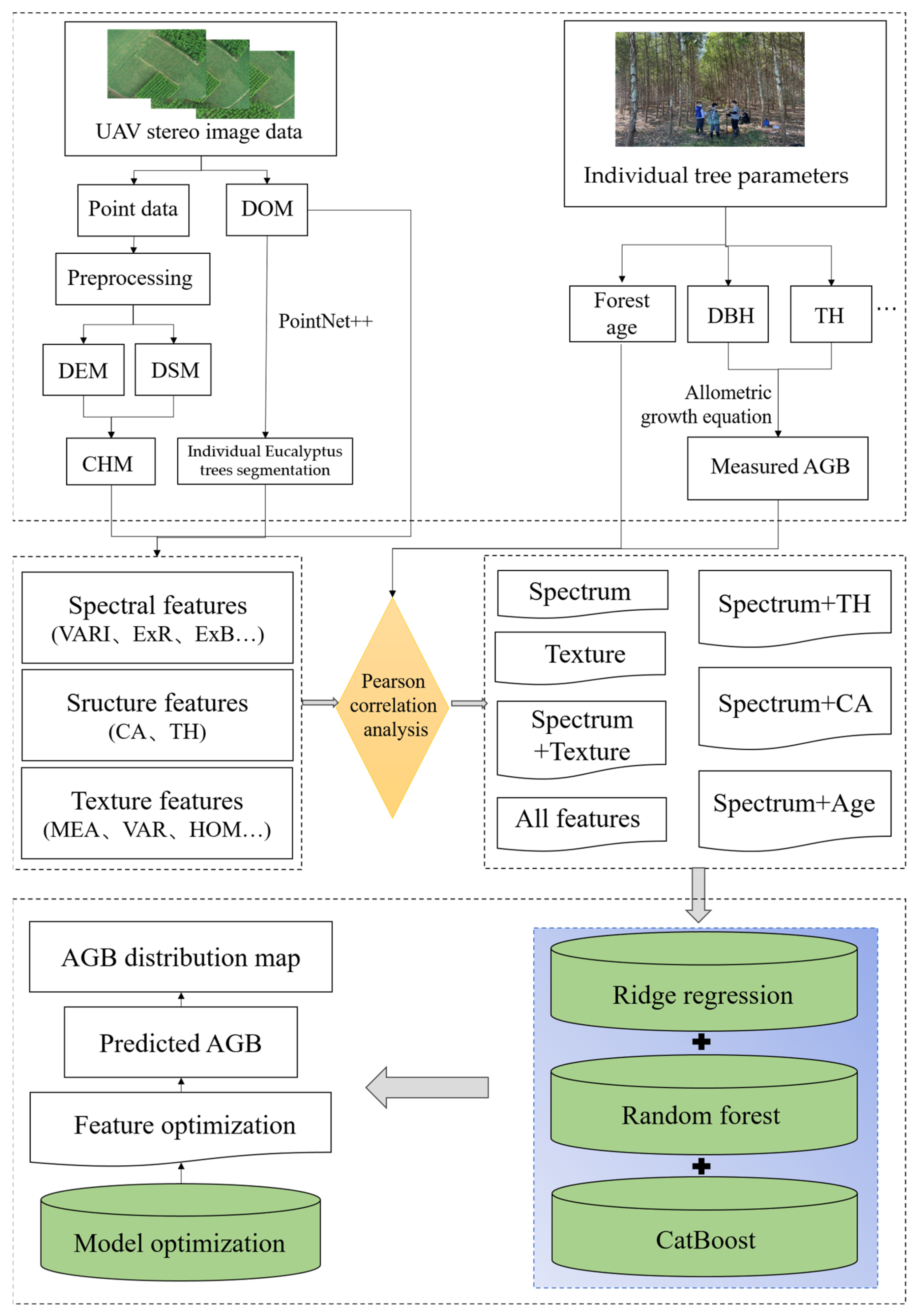 Forests 14 01748 g003