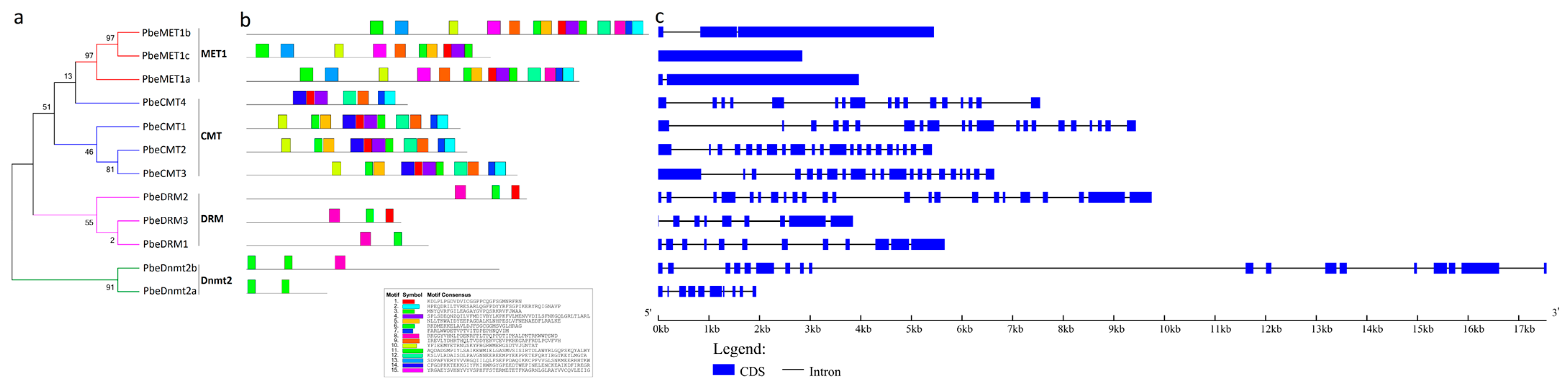 Forests 14 01751 g001