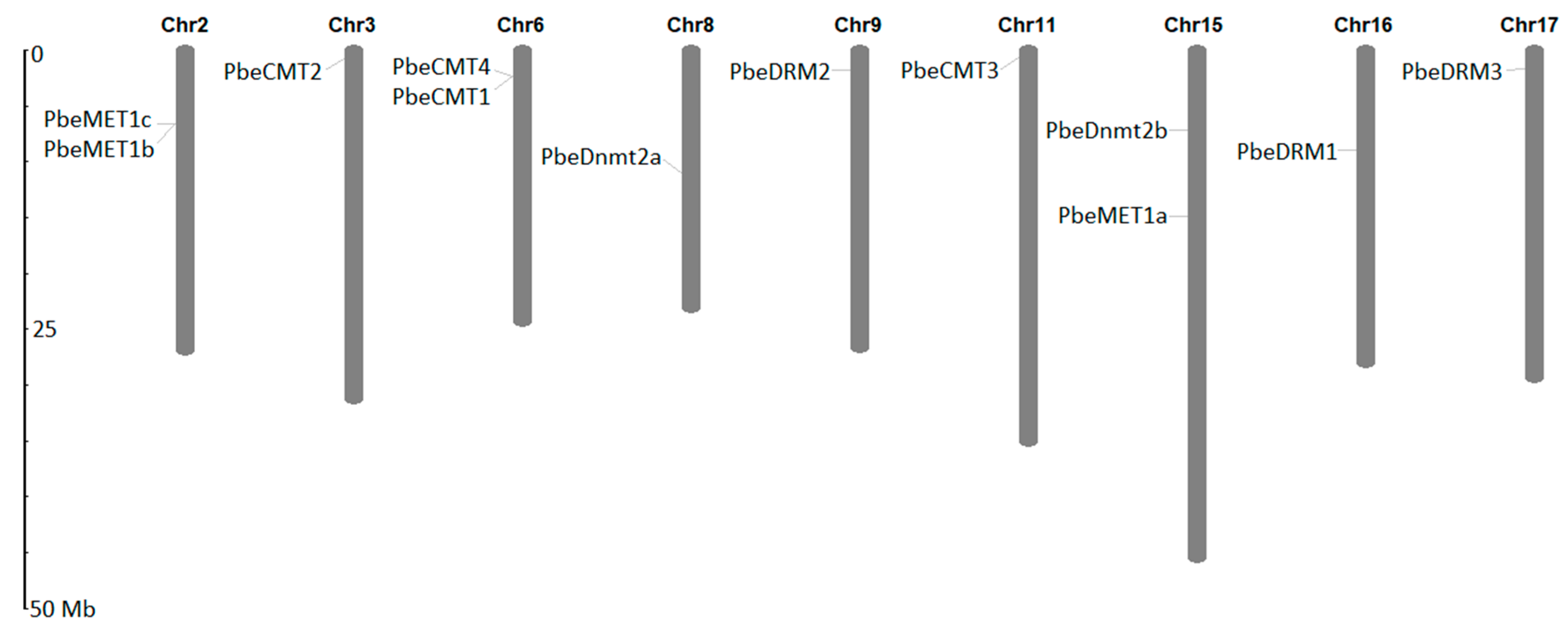Forests 14 01751 g002