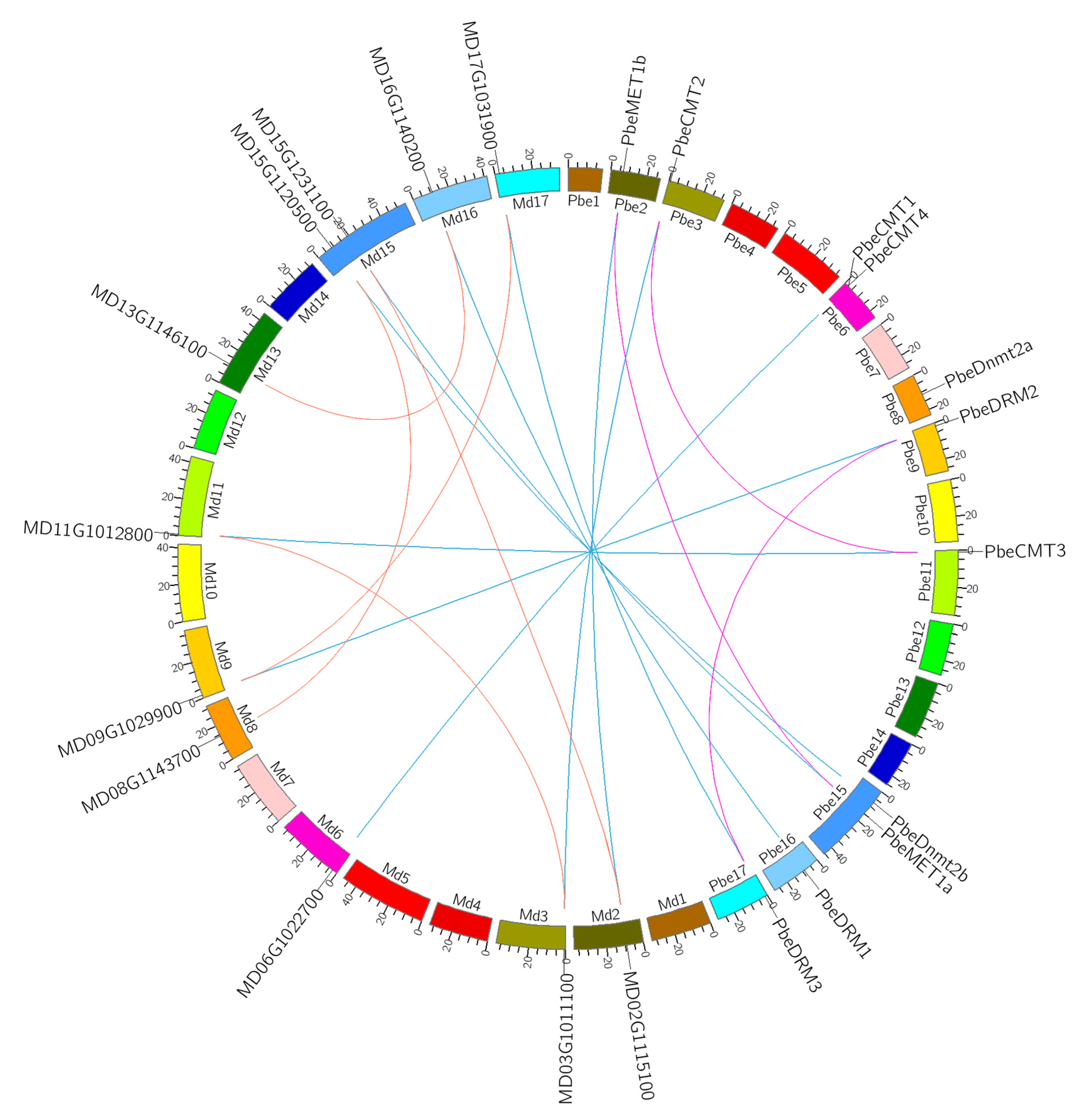 Forests 14 01751 g004