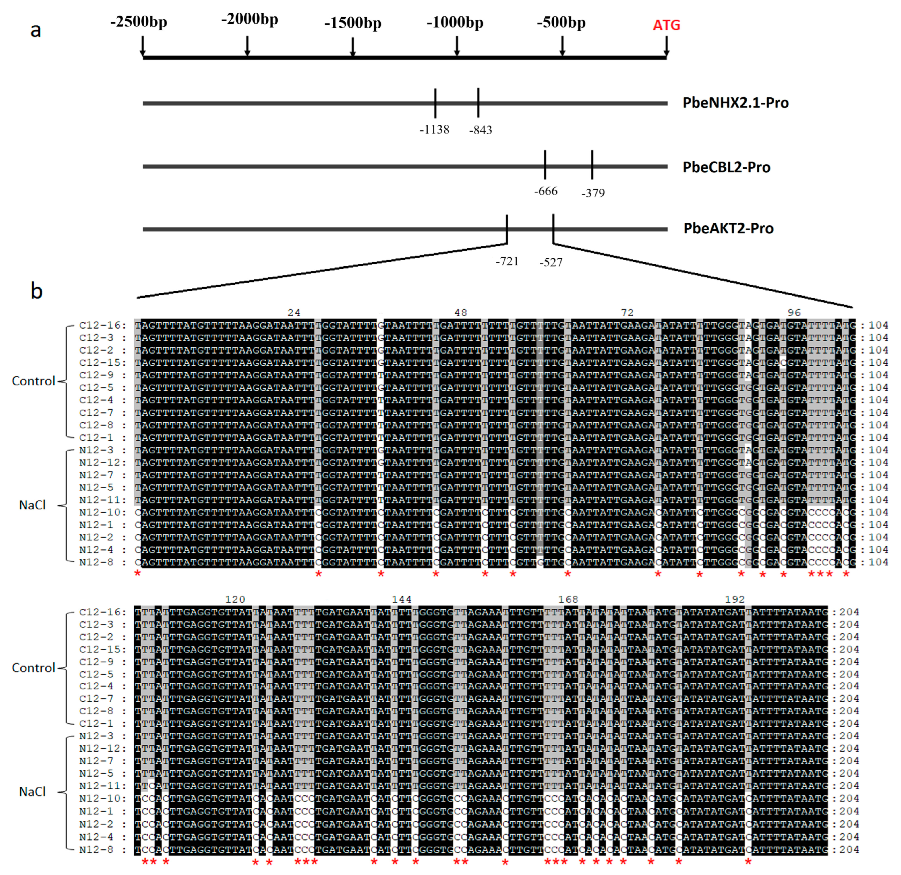 Forests 14 01751 g007