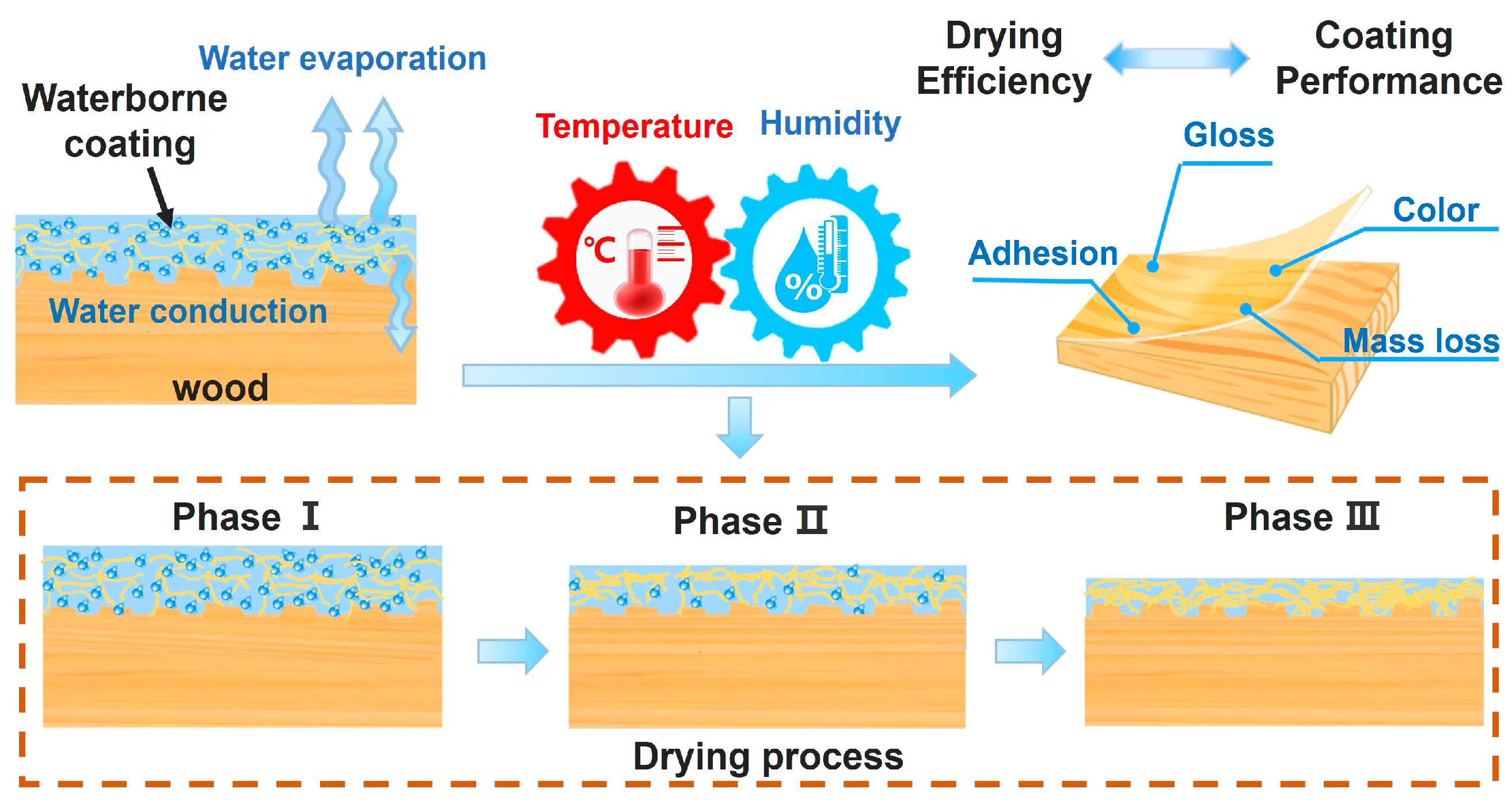 Forests 14 01752 g001