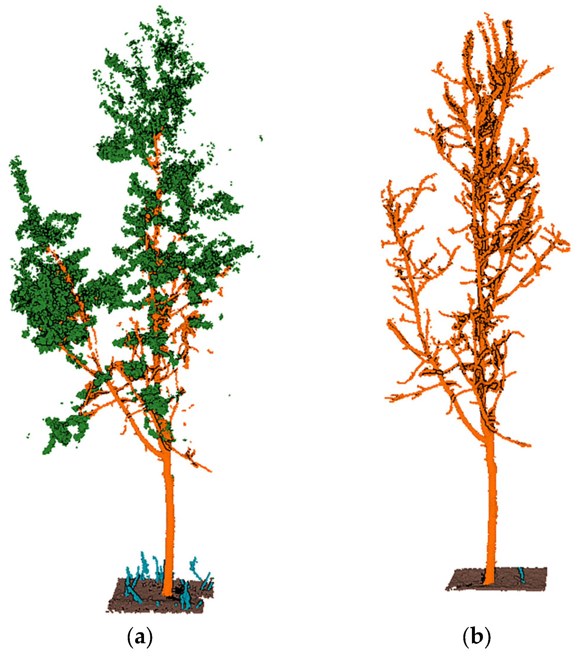 Forests 14 01757 g004