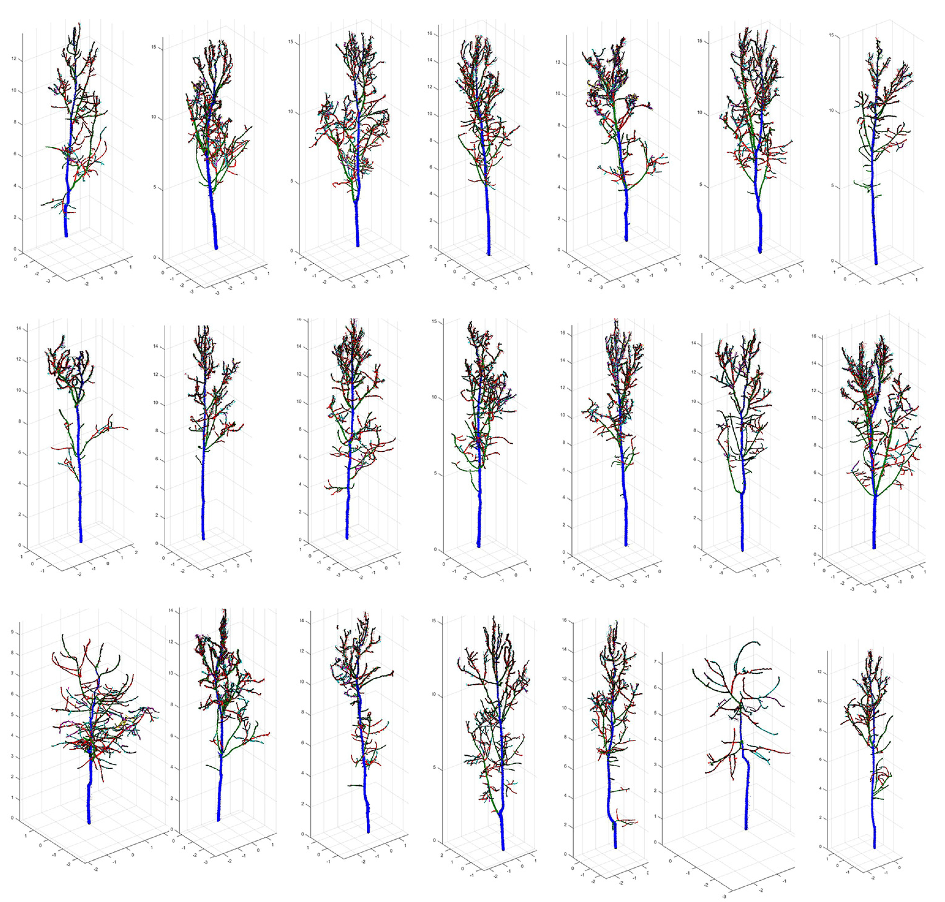 Forests 14 01757 g011