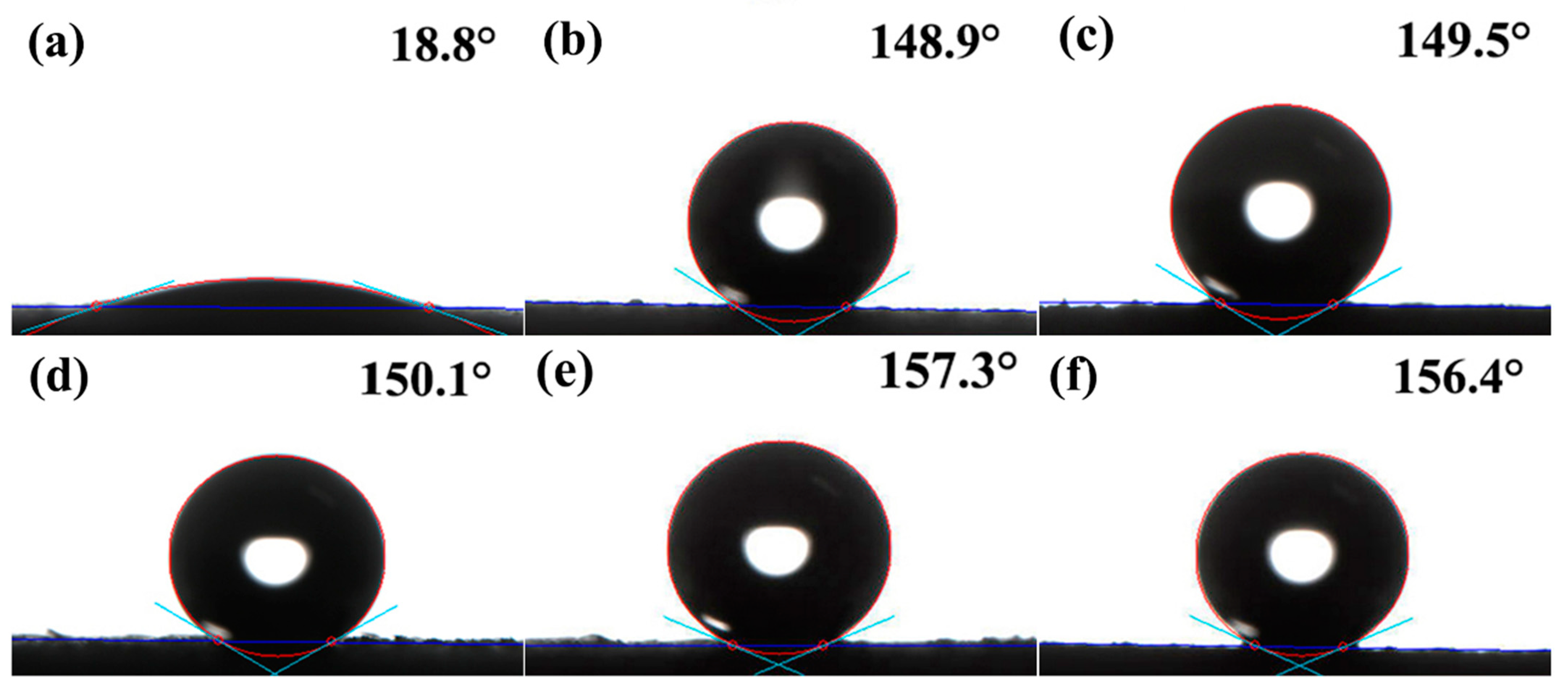 Forests 14 01761 g003