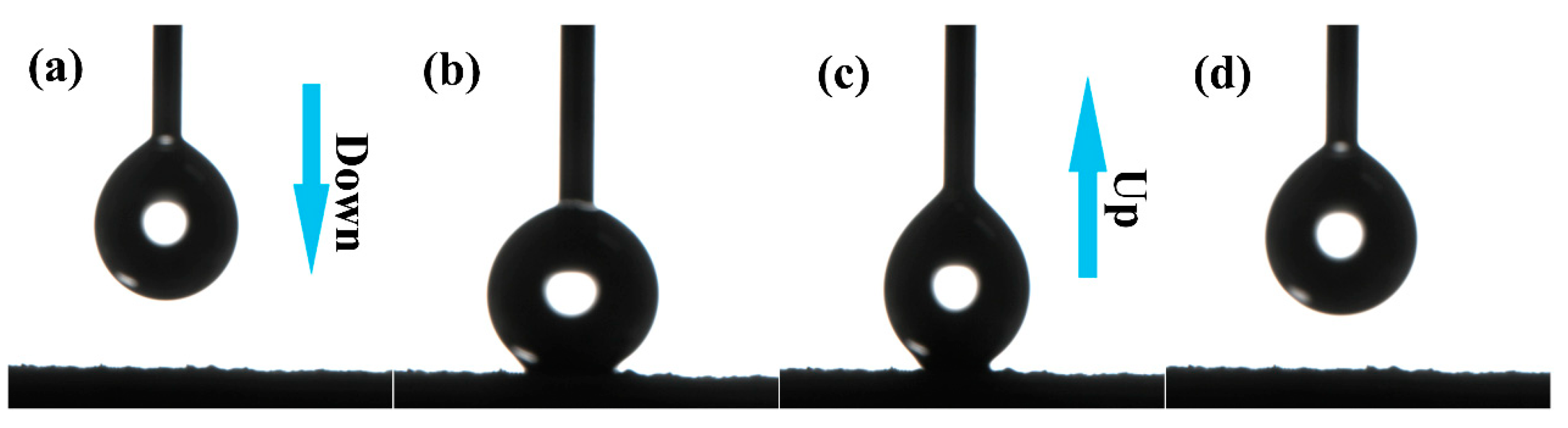 Forests 14 01761 g005