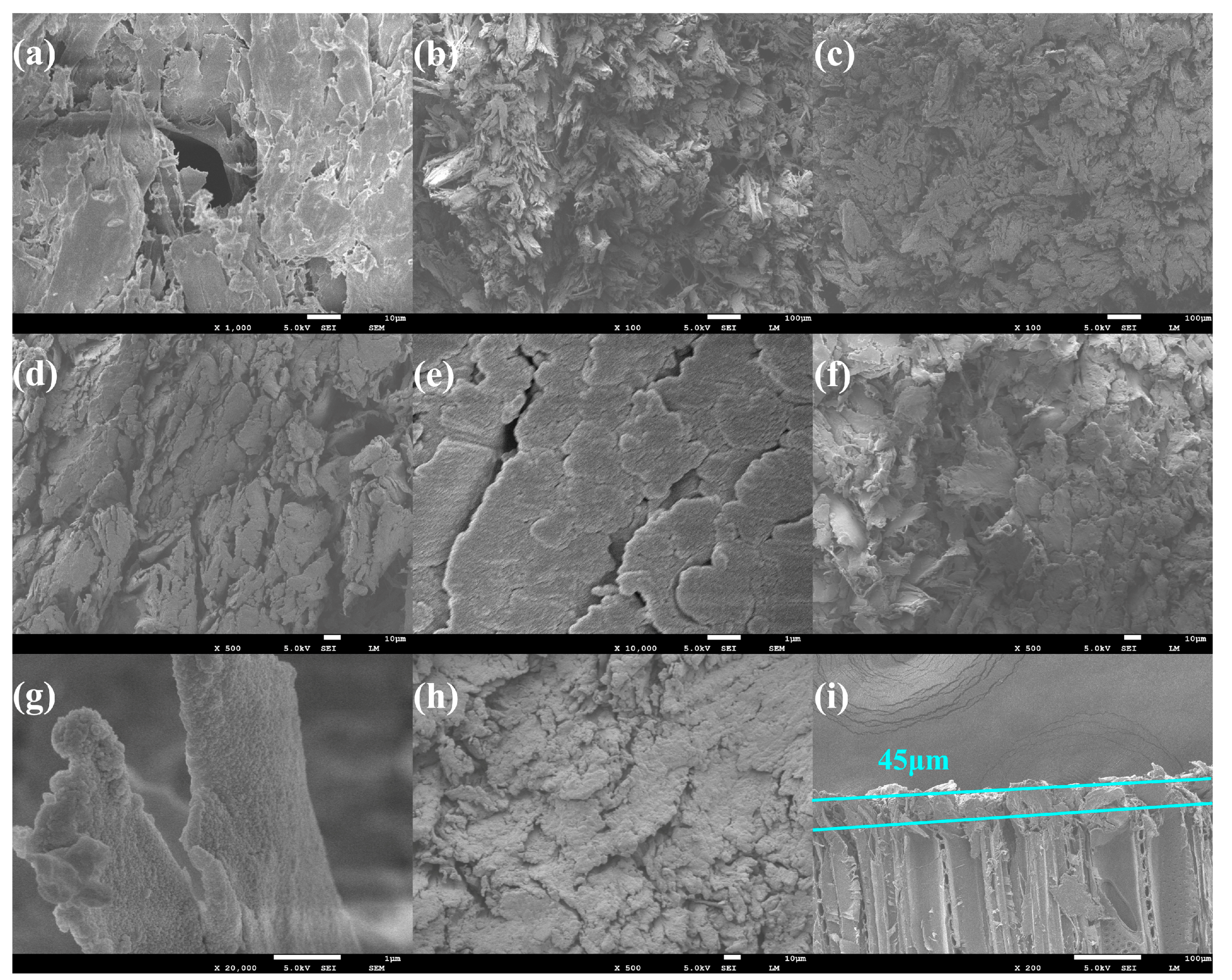 Forests 14 01761 g008