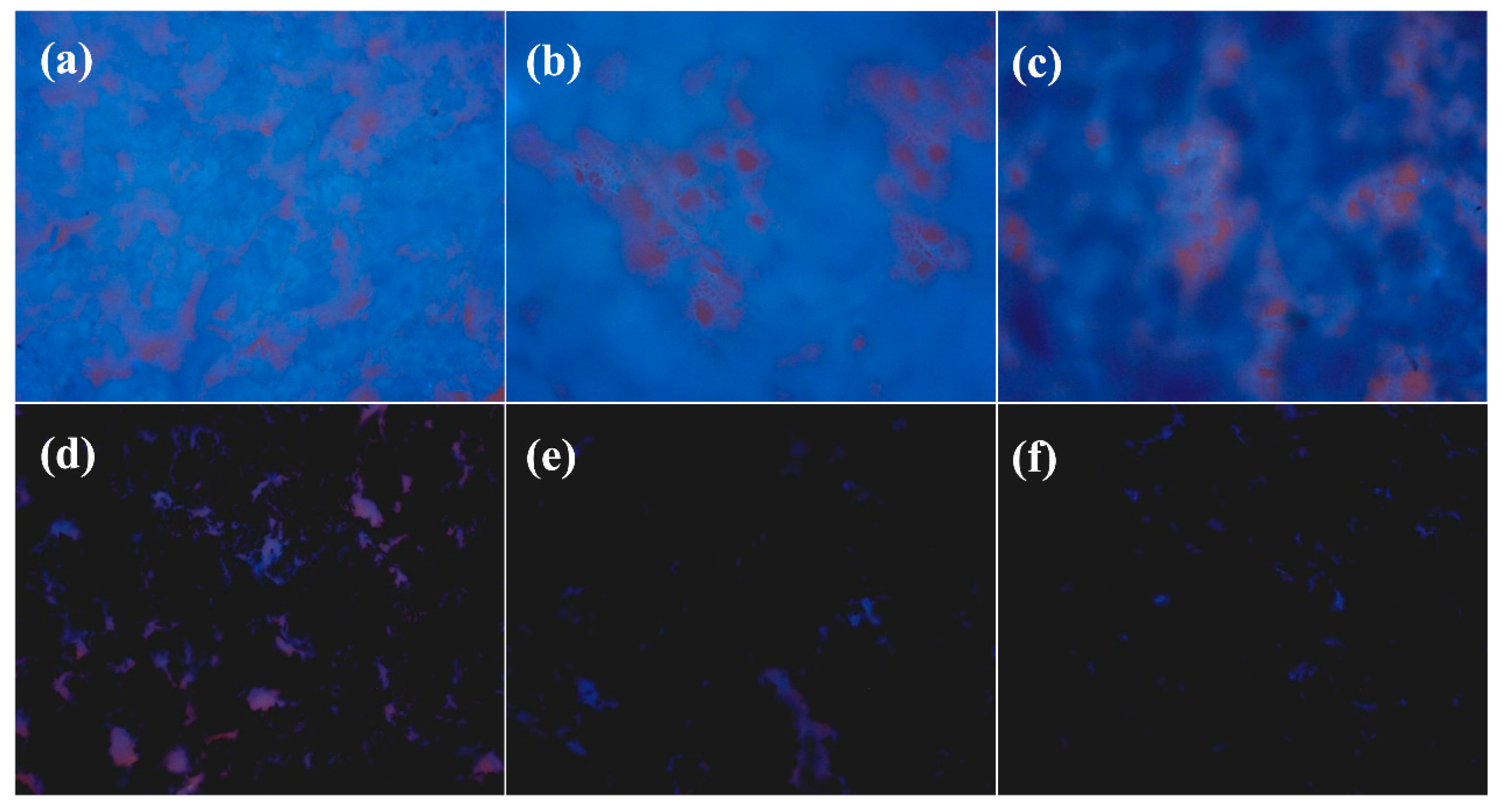 Forests 14 01761 g009
