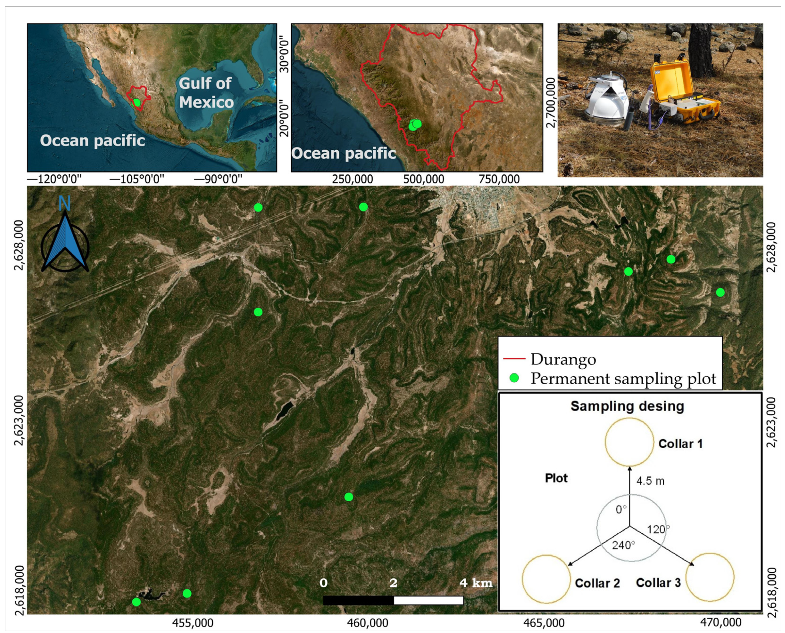 Forests 14 01763 g001