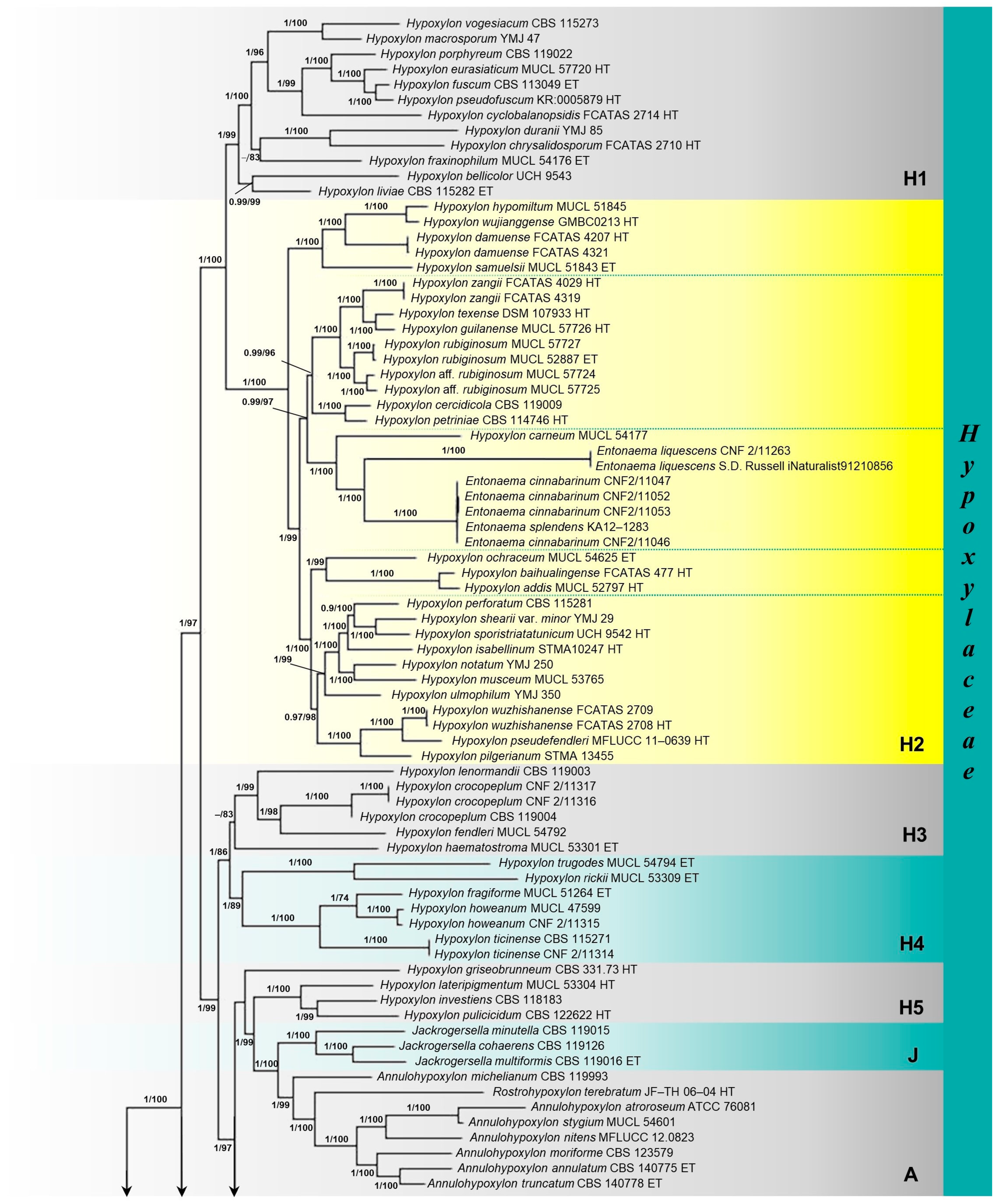 Forests 14 01764 g001a