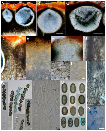 Forests 14 01764 g004