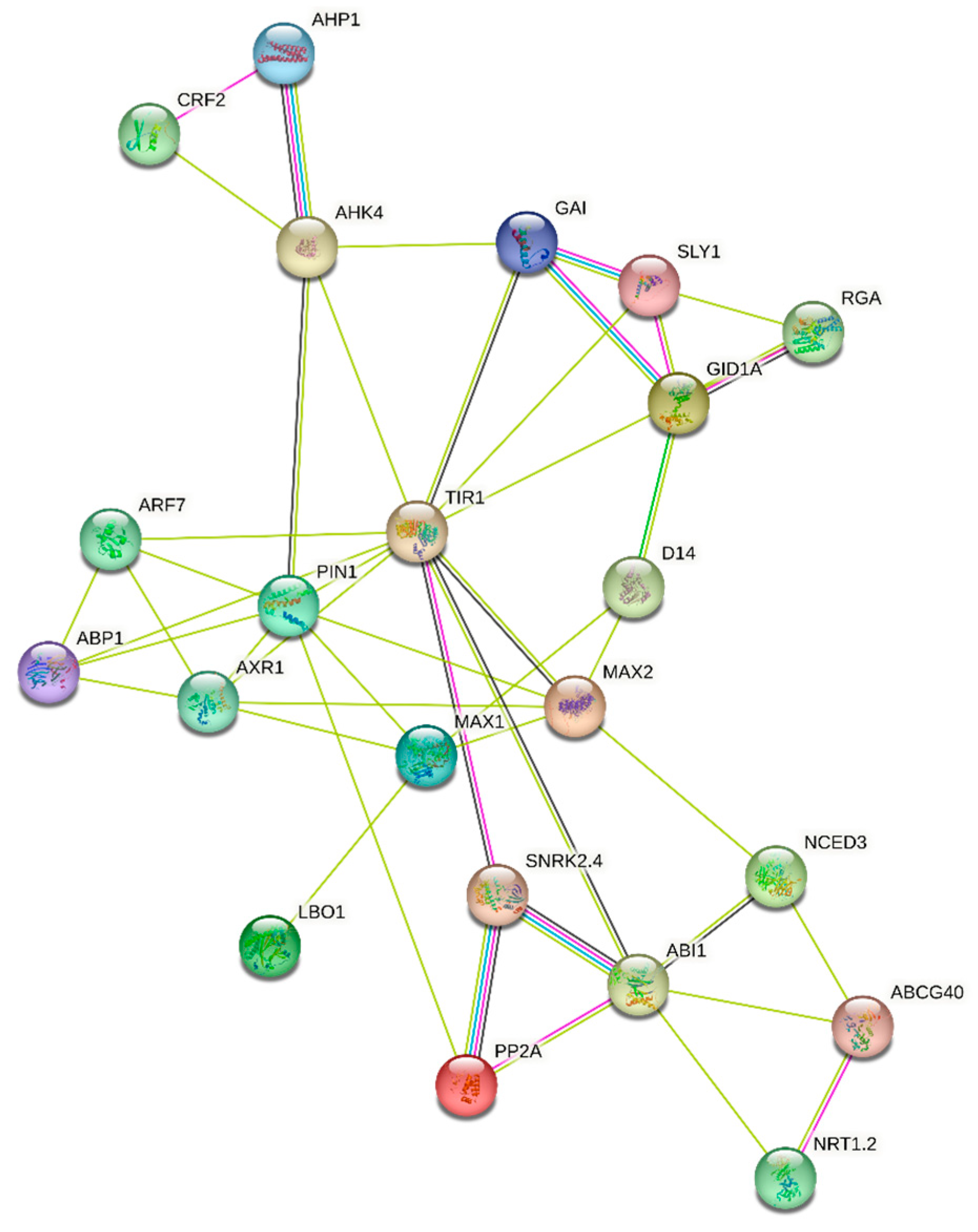 Forests 14 01765 g002