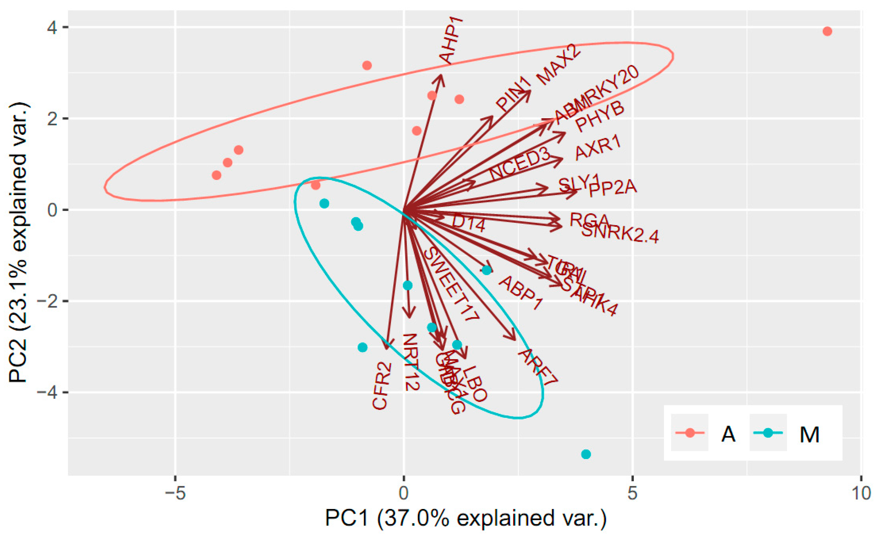 Forests 14 01765 g003