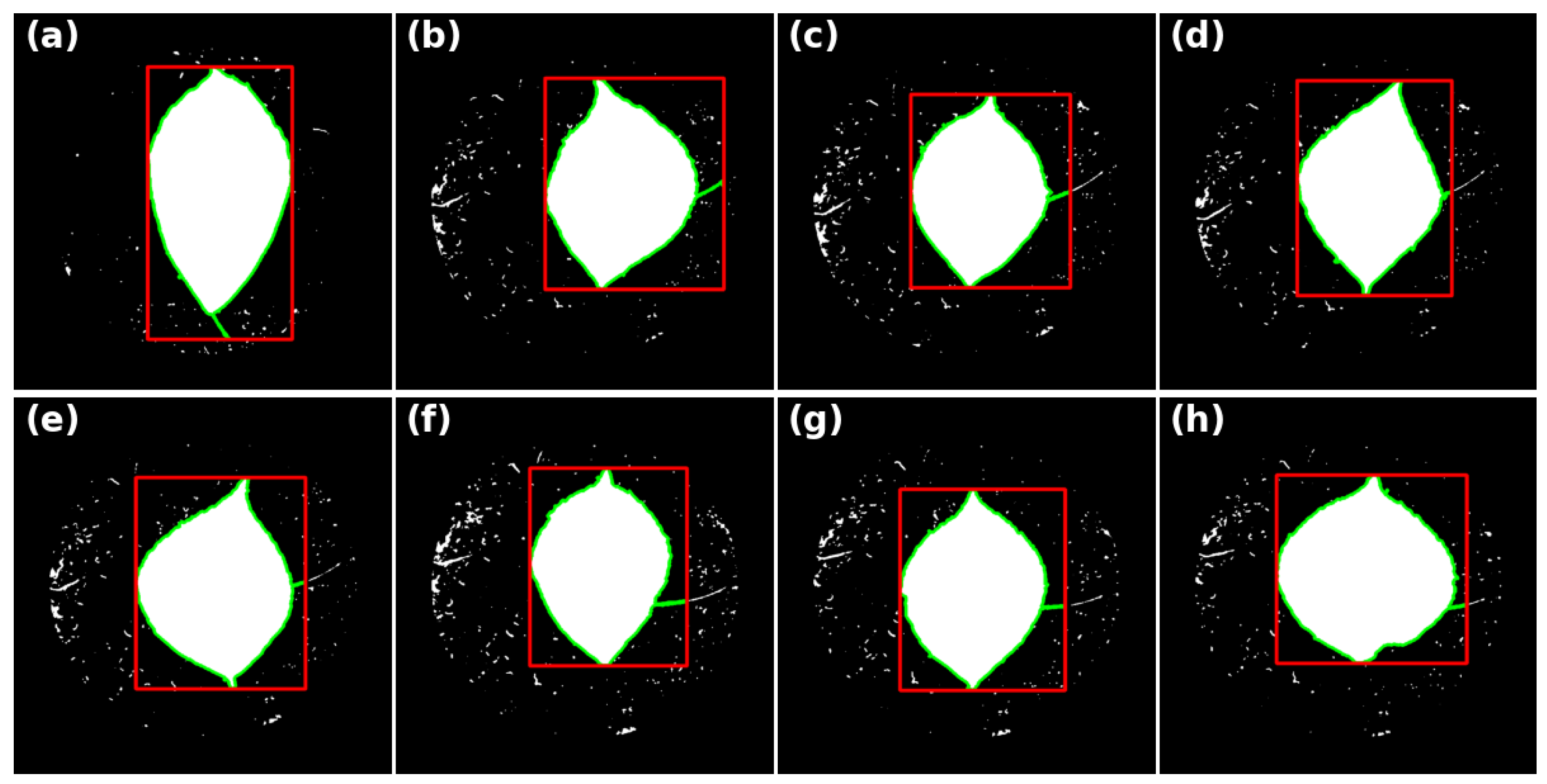 Forests 14 01766 g006