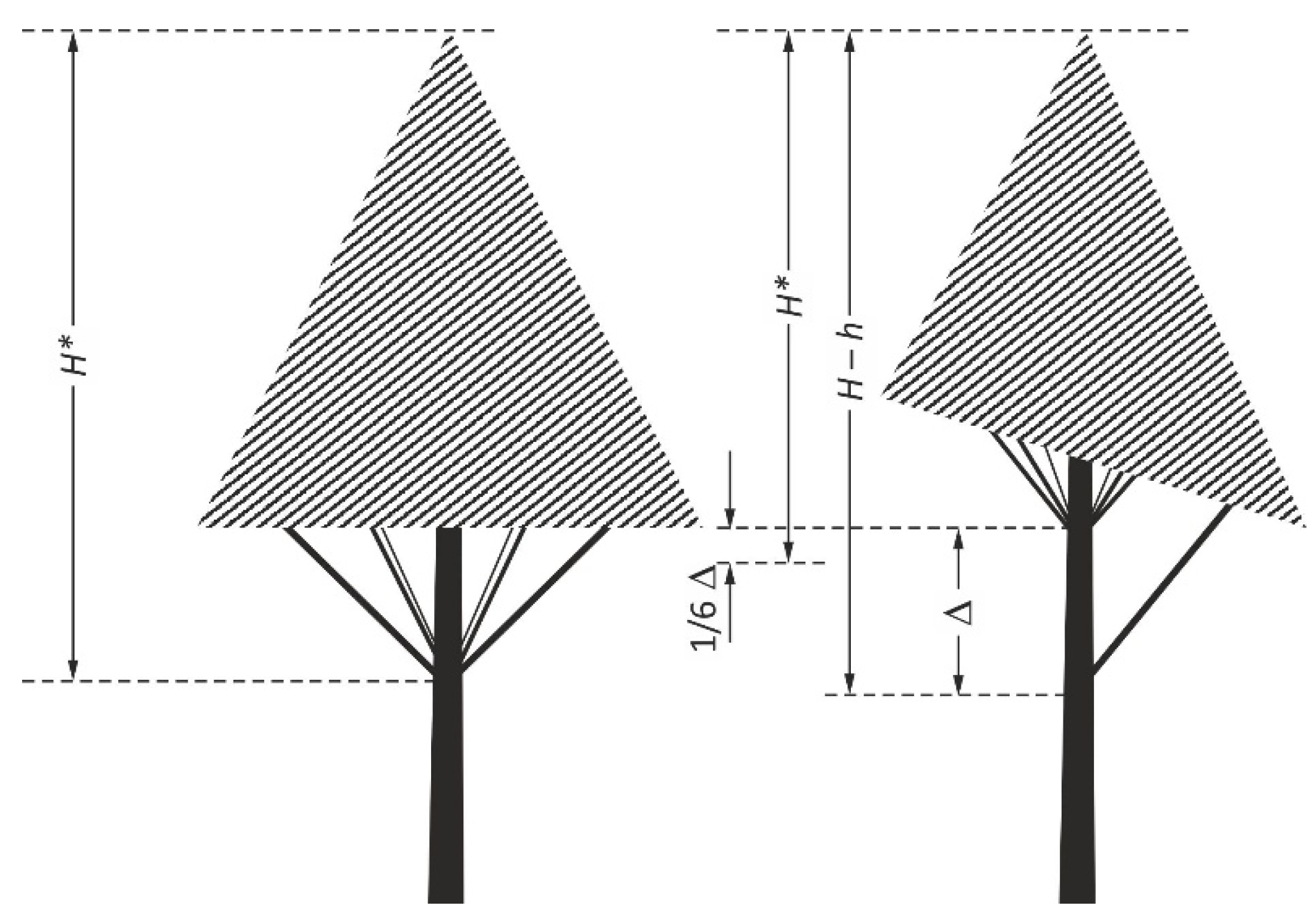 Forests 14 01779 g001
