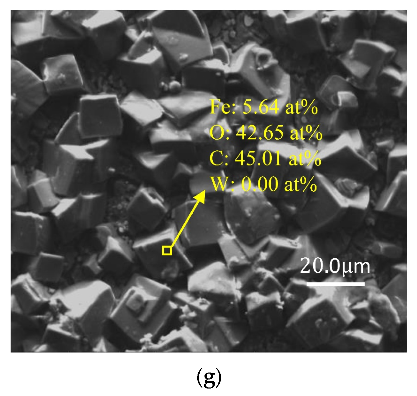 Forests 14 01781 g004b