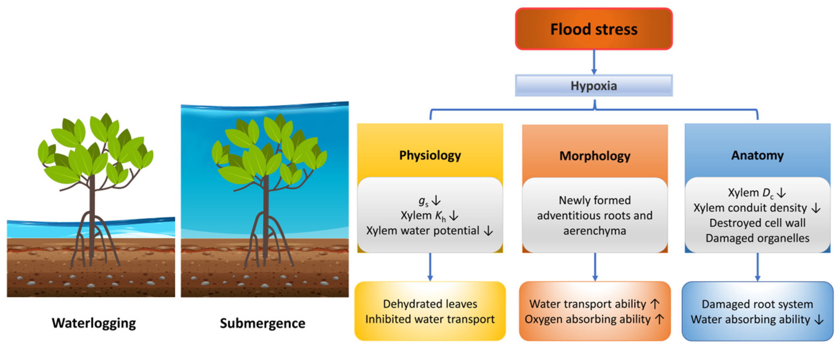 Forests 14 01784 g003