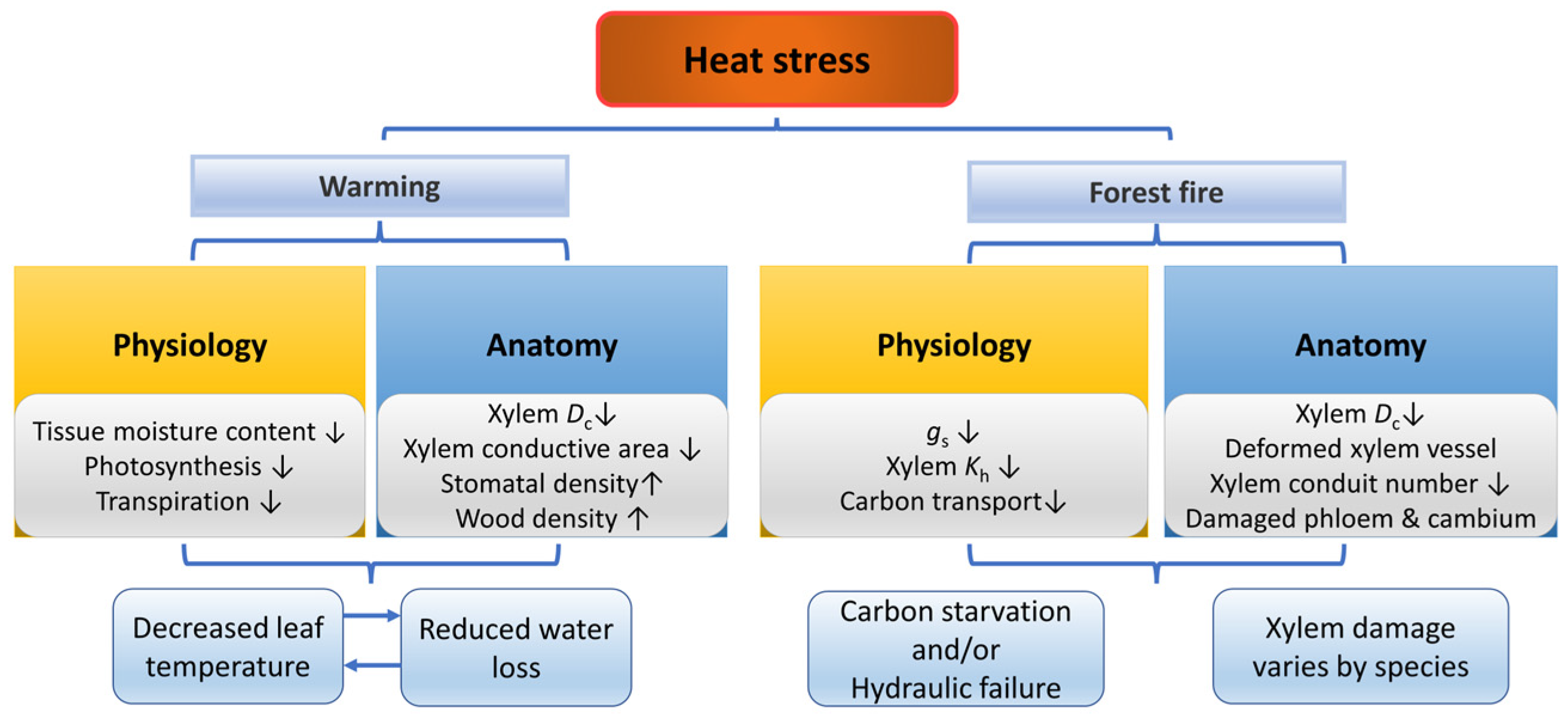 Forests 14 01784 g004