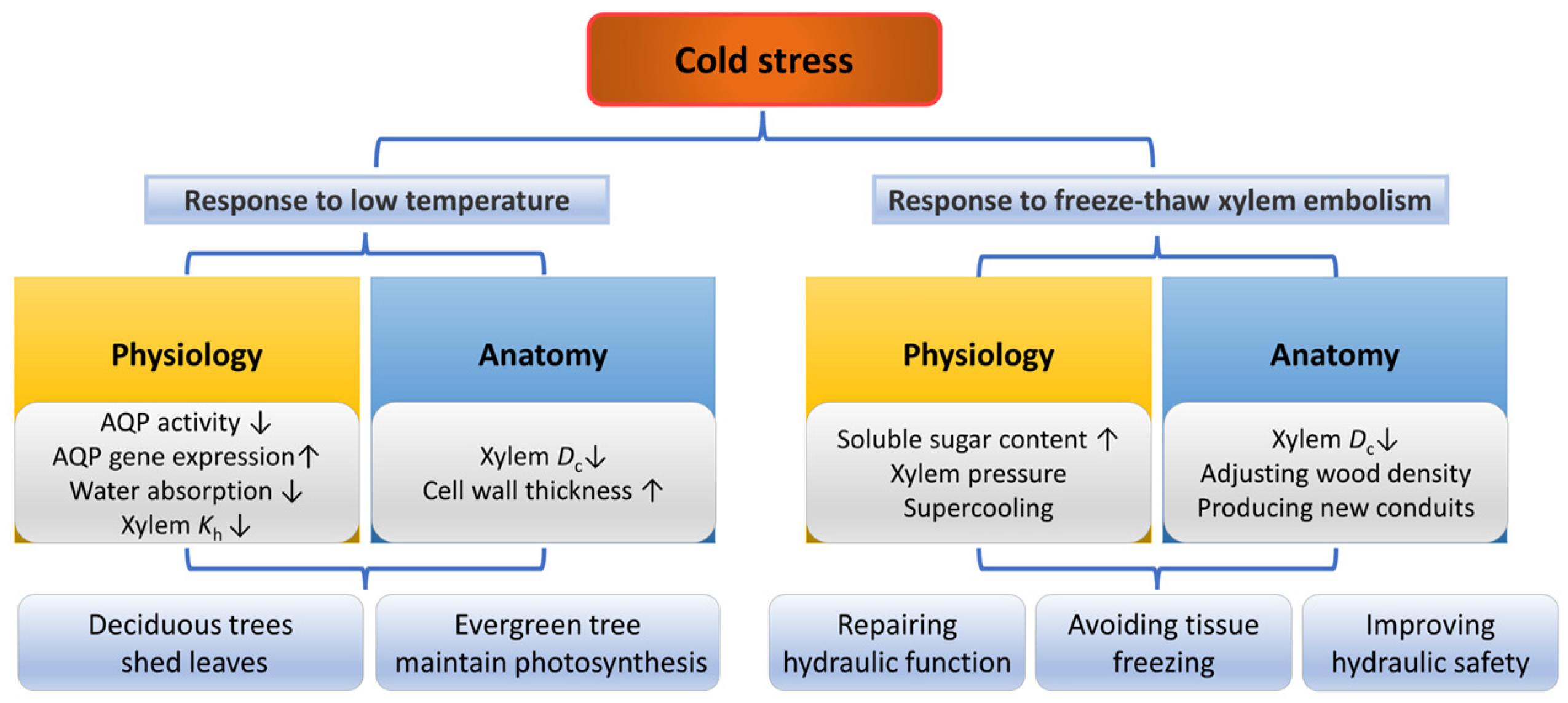 Forests 14 01784 g005