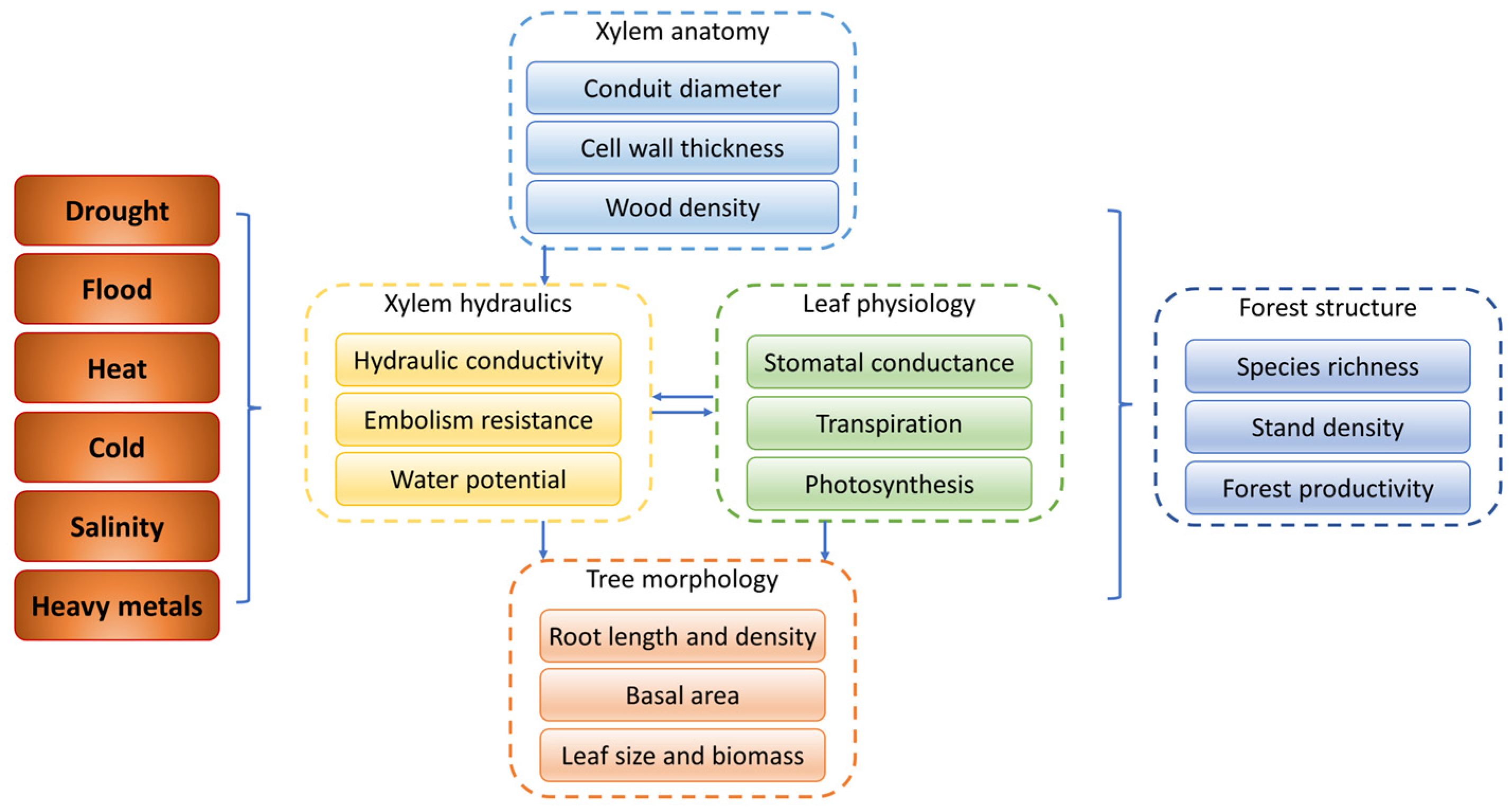 Forests 14 01784 g008