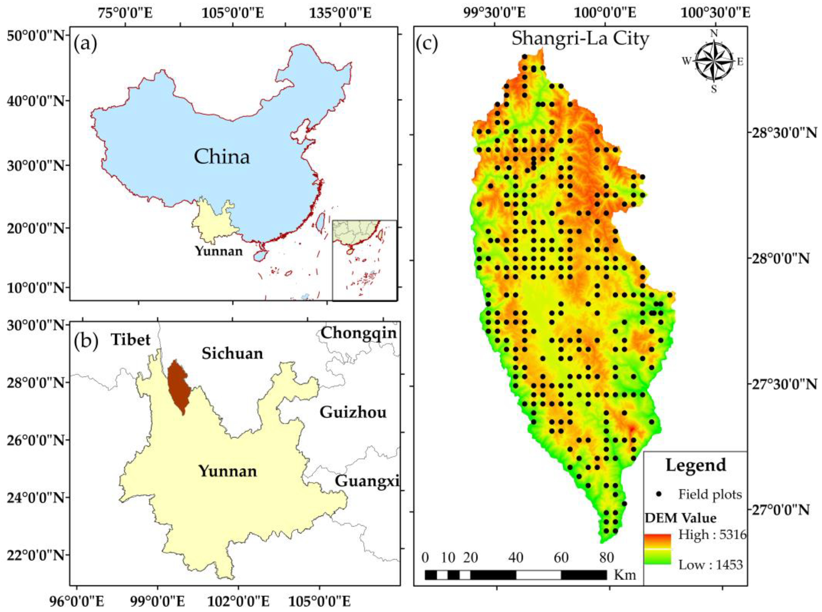 Forests 14 01792 g001