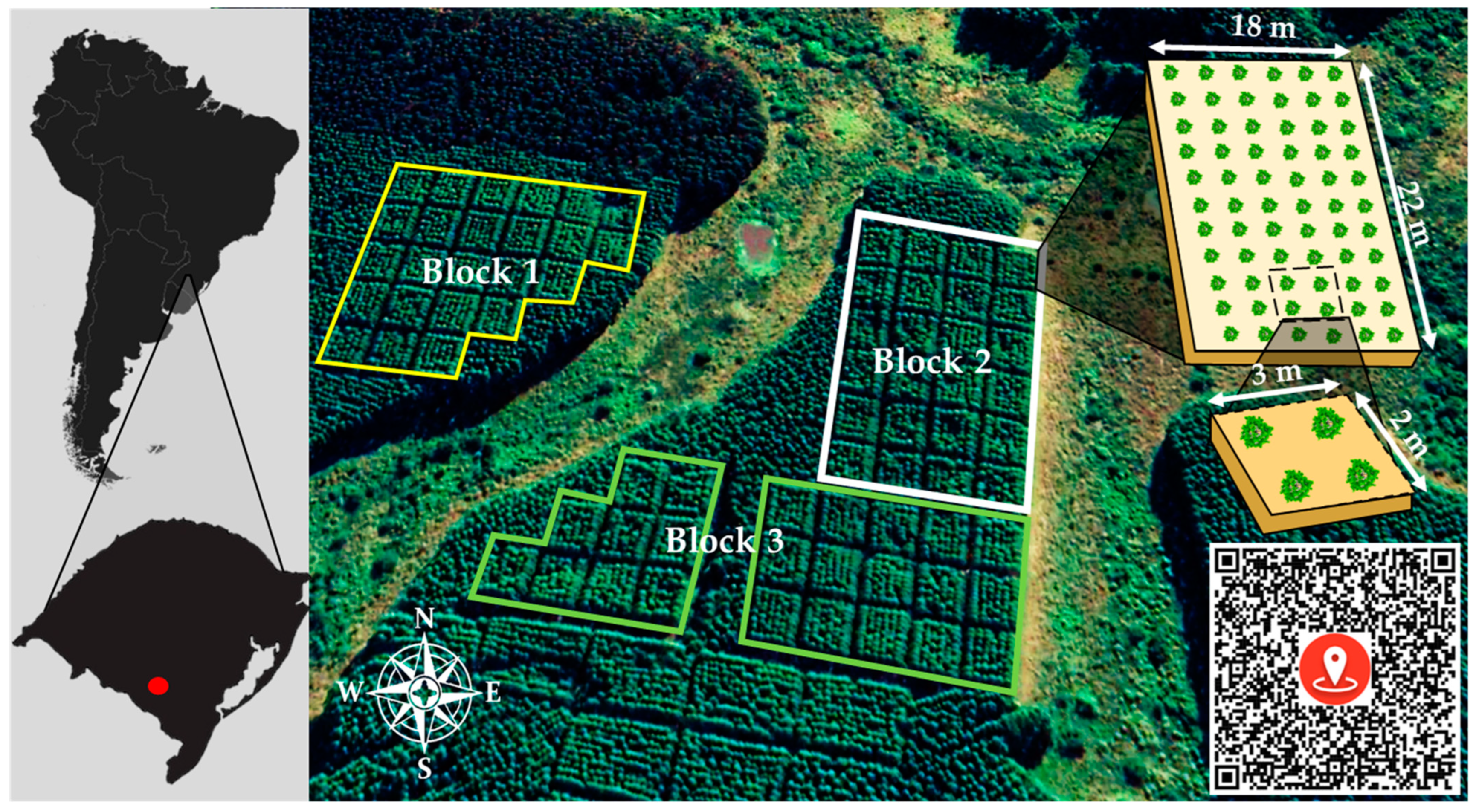 Forests 14 01816 g0a1