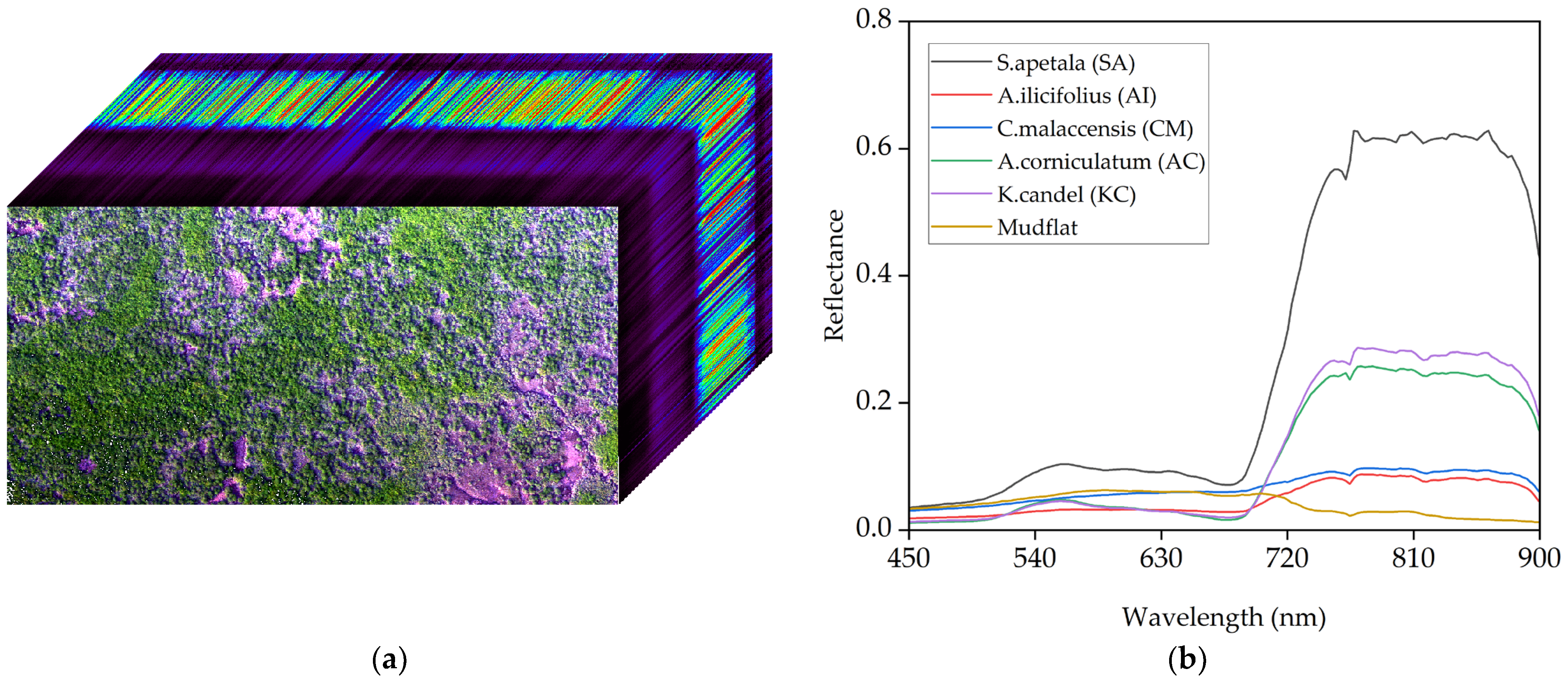 Forests 14 01838 g002