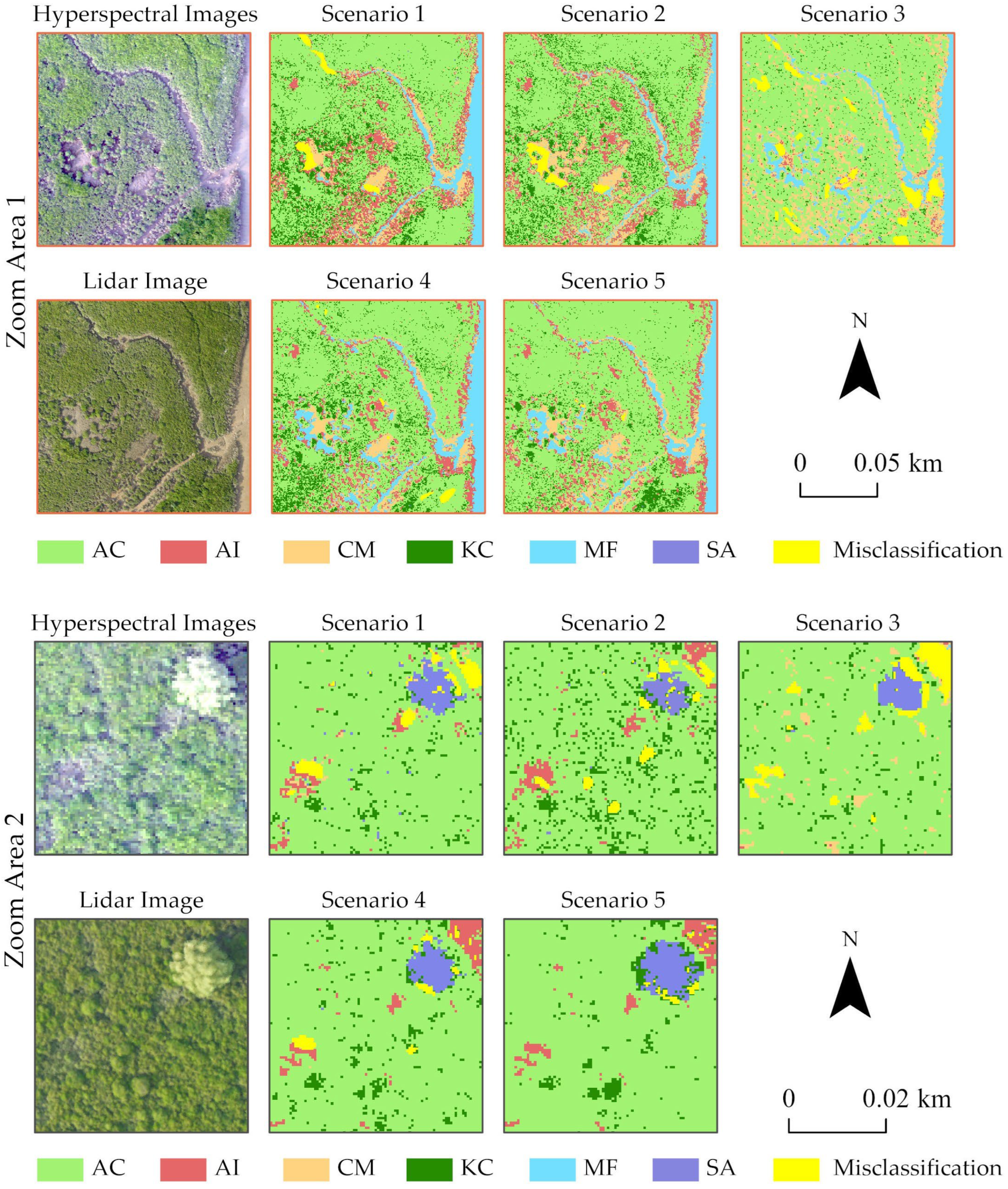 Forests 14 01838 g008