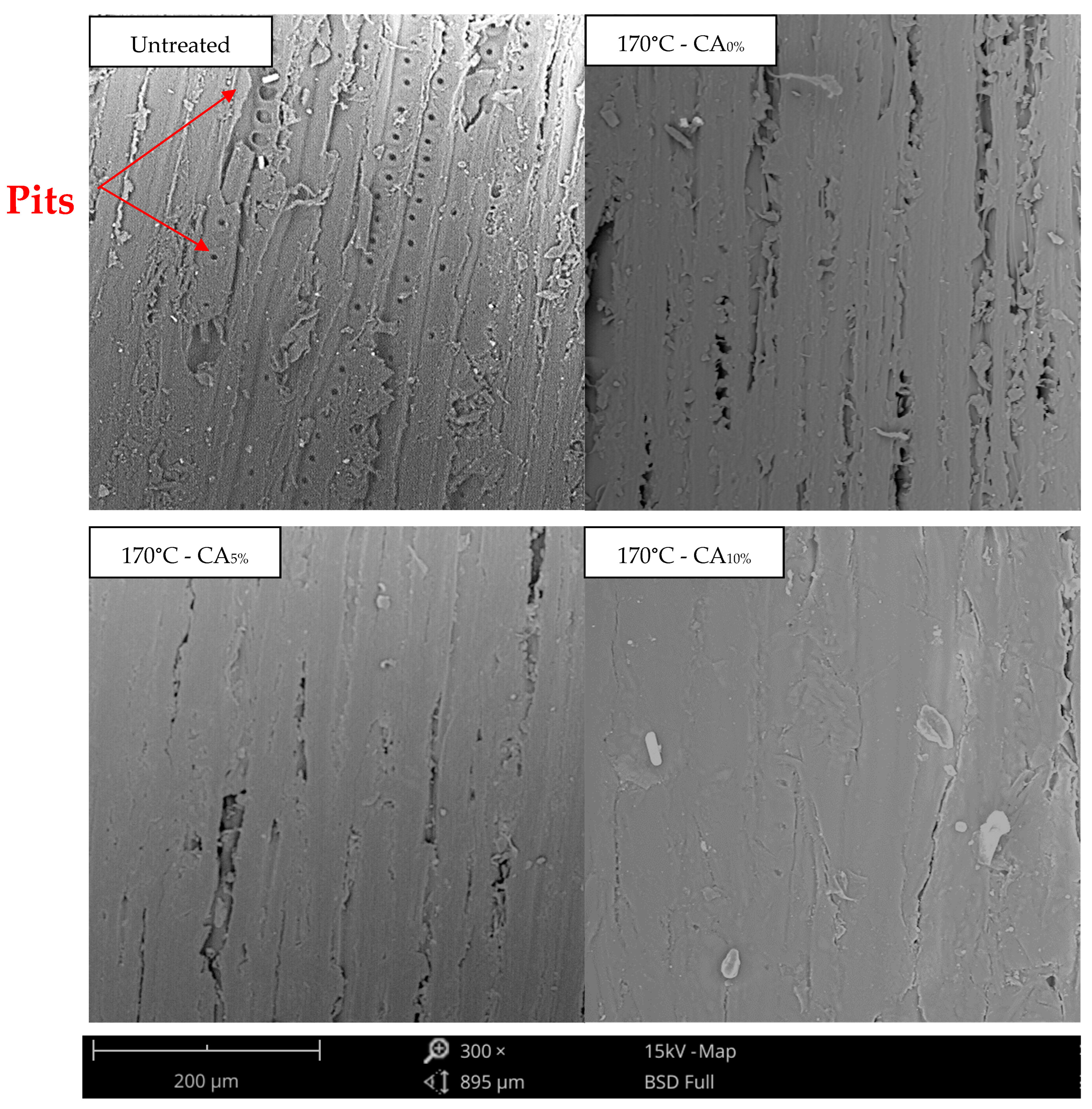 Forests 14 01839 g005