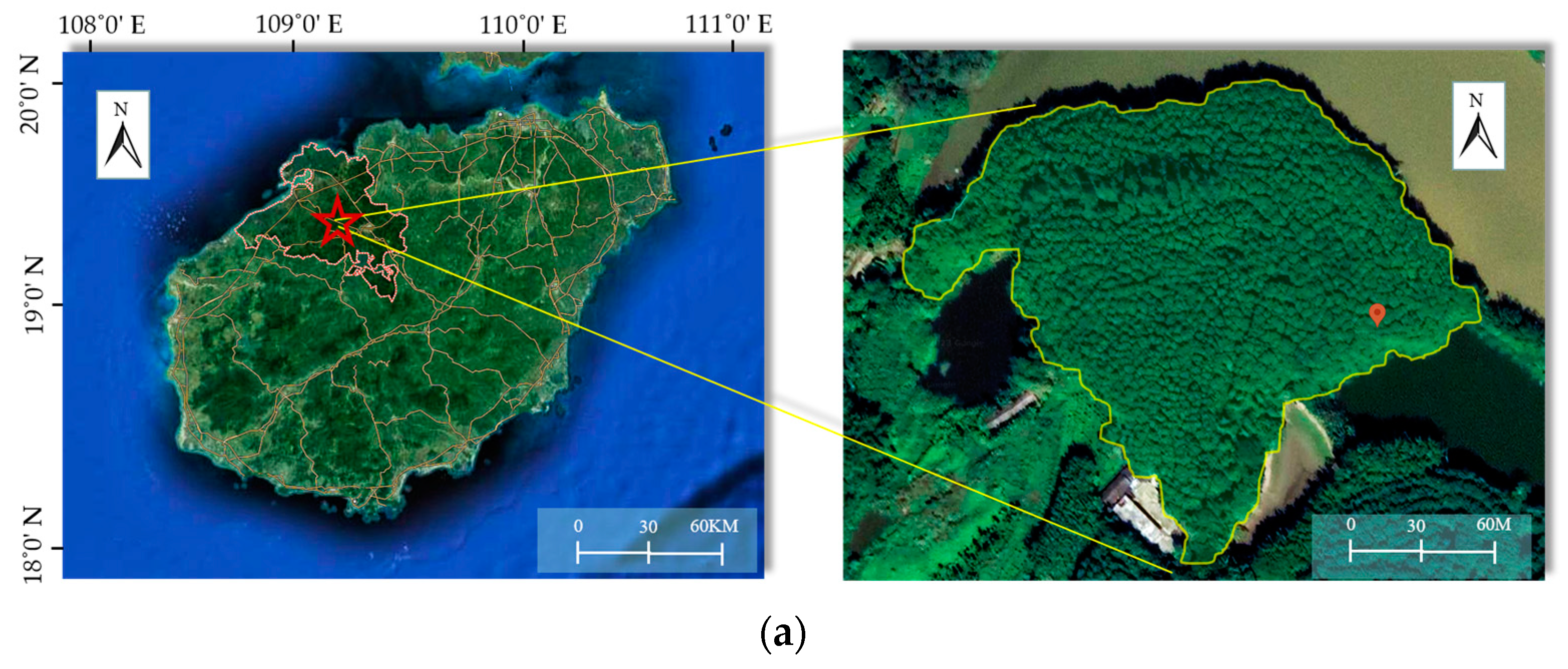 Forests 14 01856 g003a