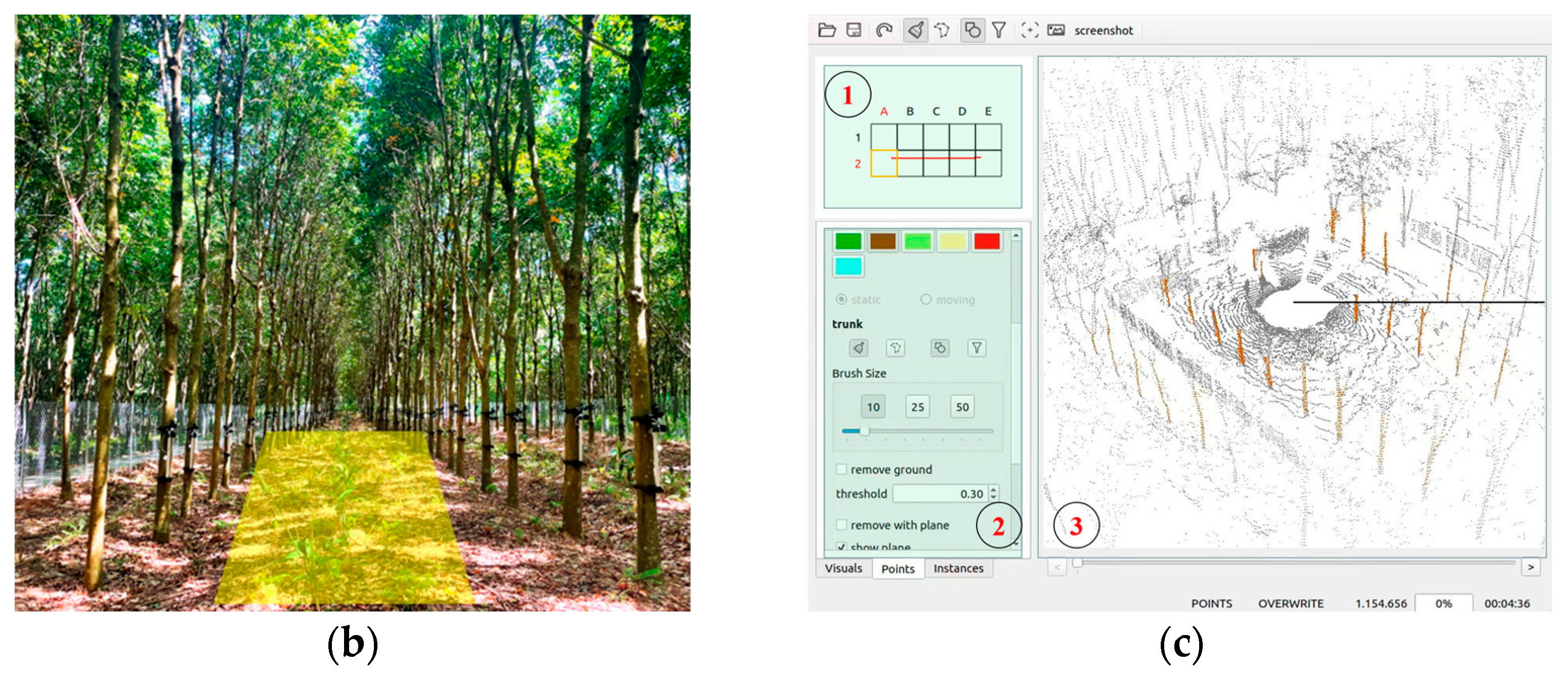 Forests 14 01856 g003b