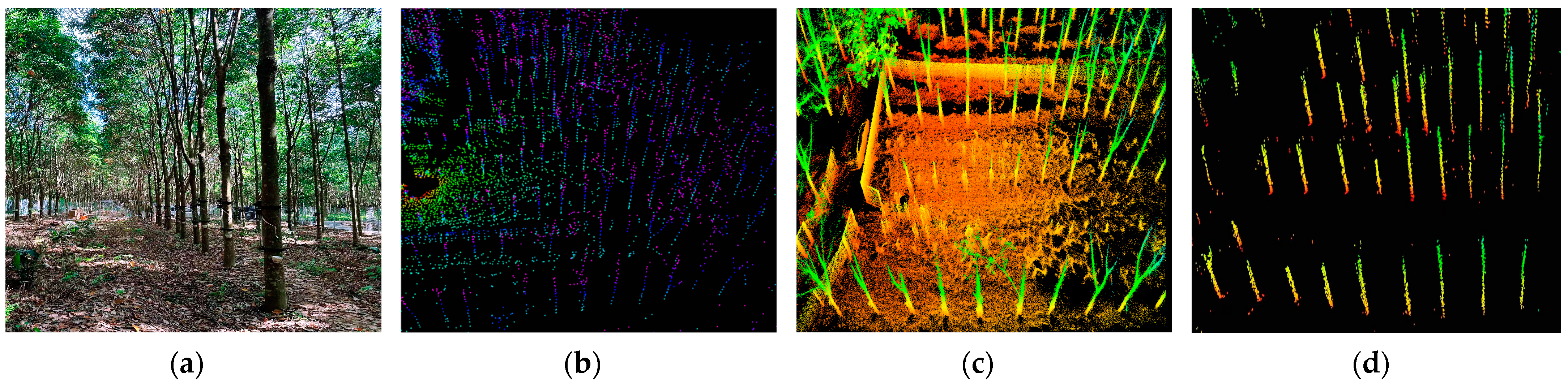 Forests 14 01856 g006