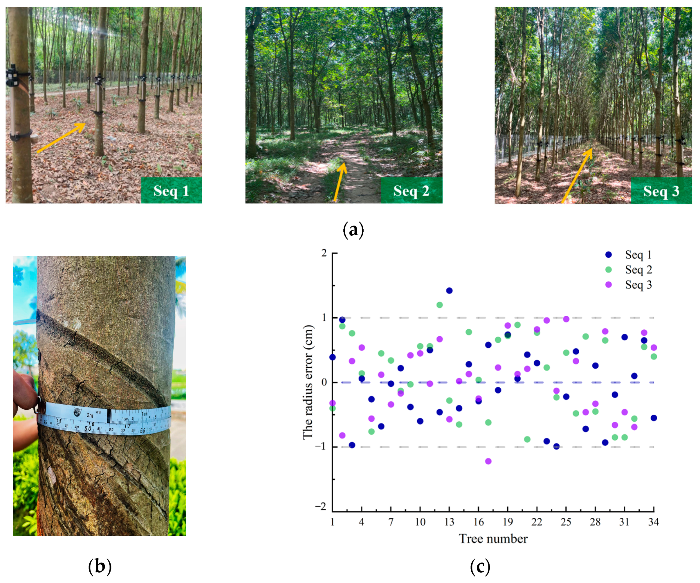 Forests 14 01856 g007