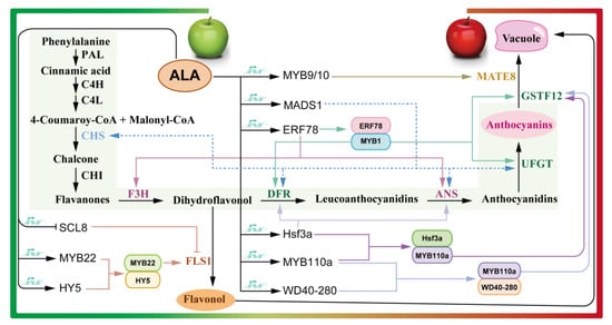 Forests 14 01857 g003
