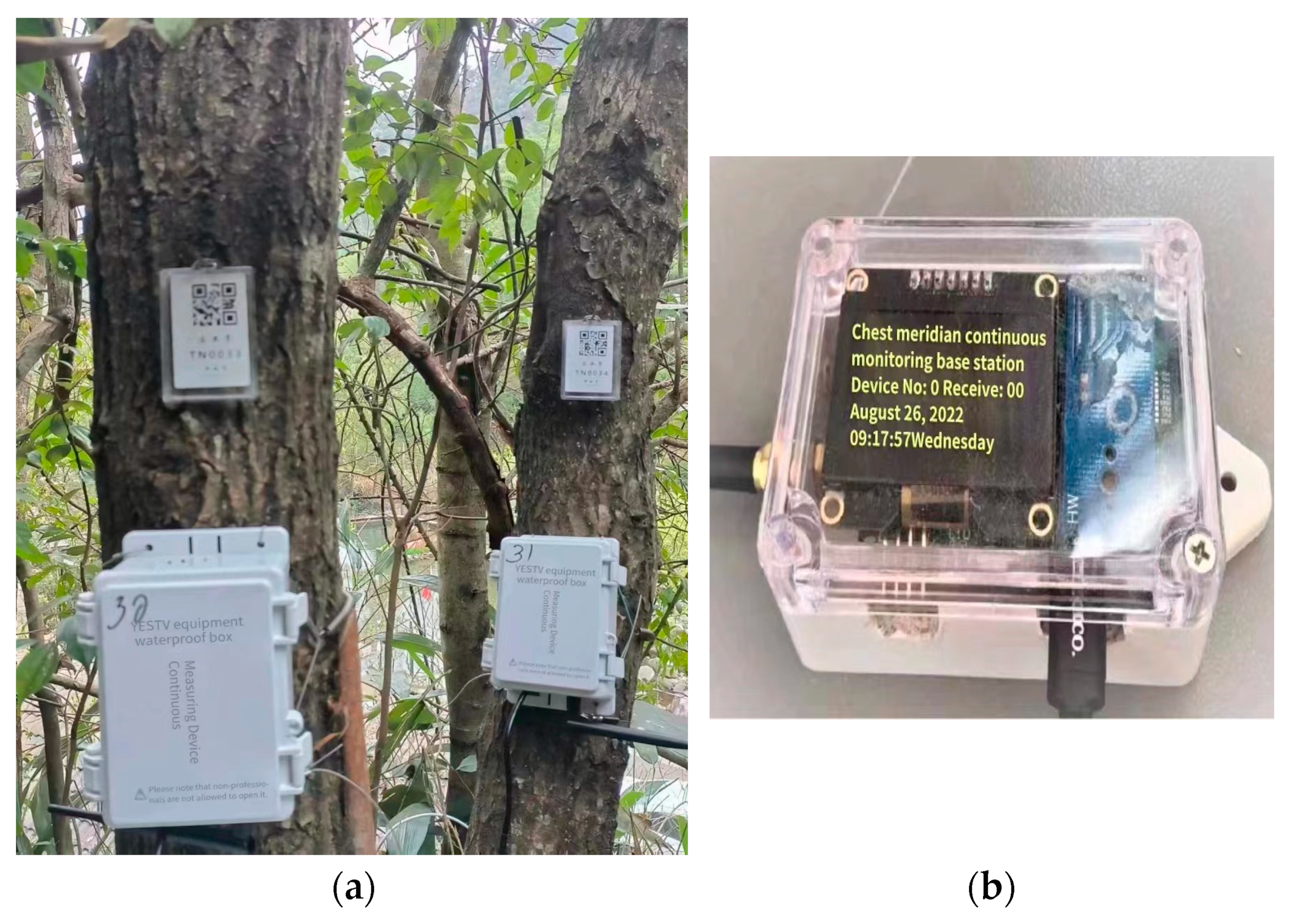 Forests 14 01876 g003