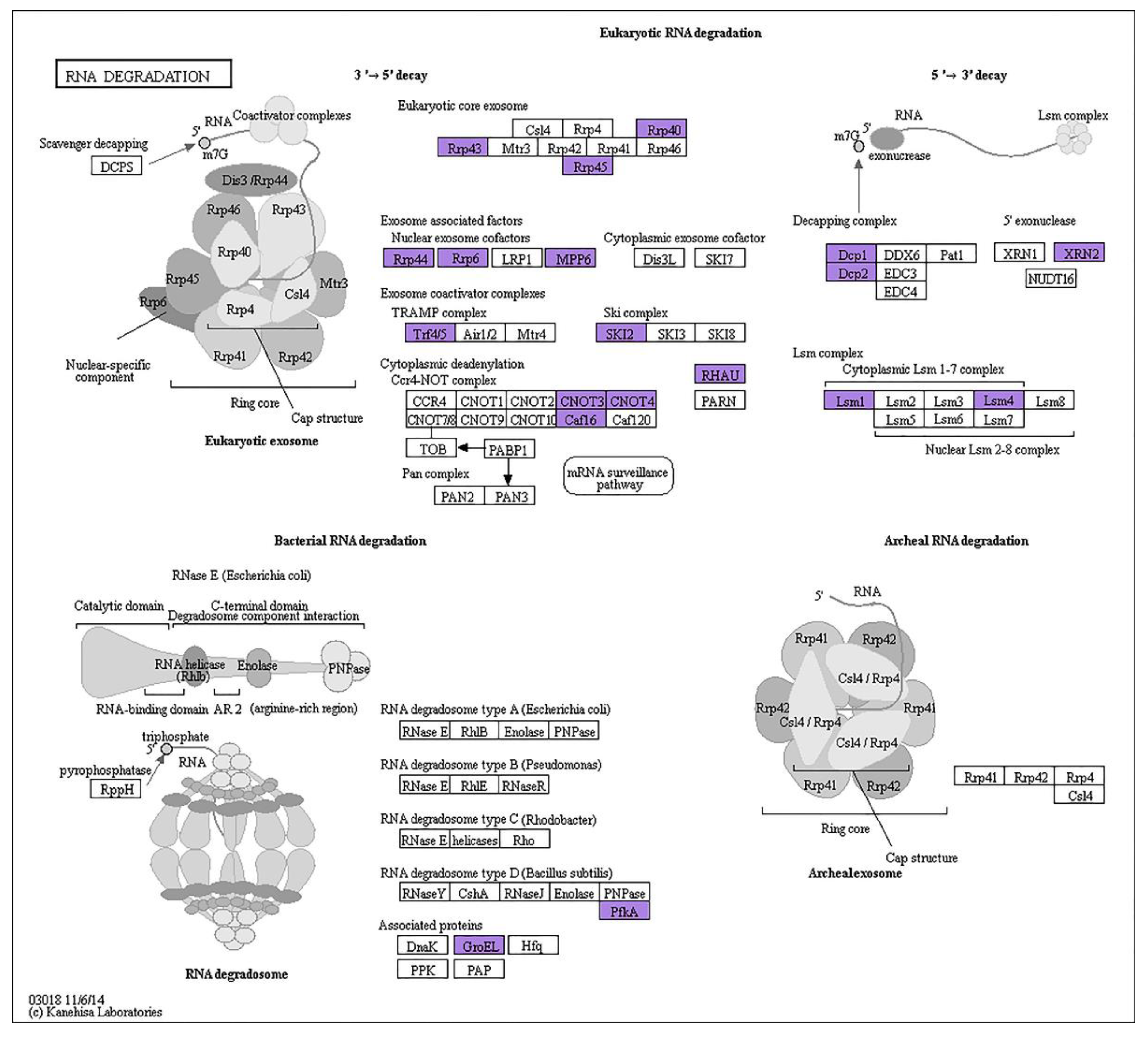 Forests 14 01878 g006