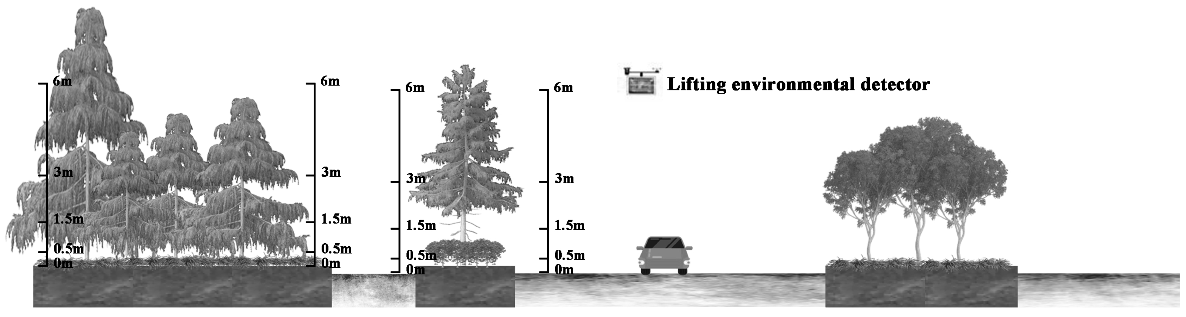 Forests 14 01892 g002